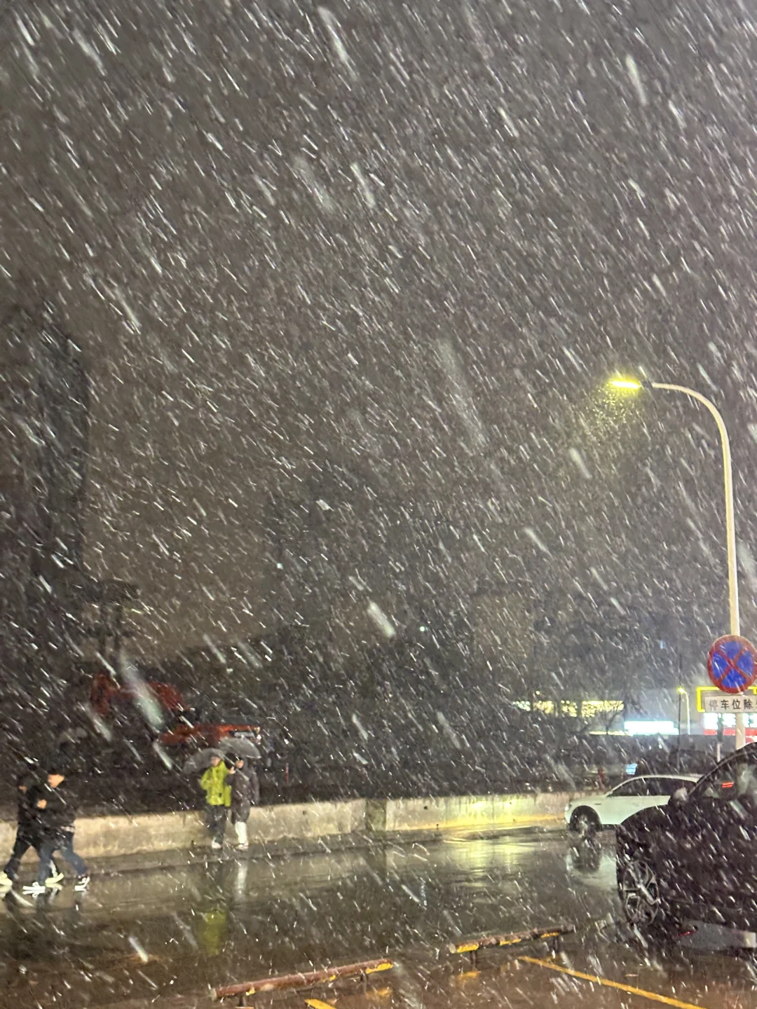 烟台大雪！！！无滤镜live 图！！巨美！！！