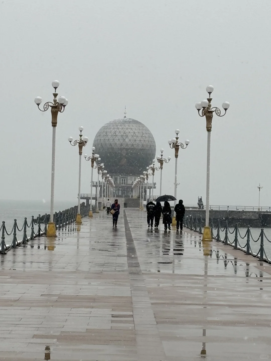 烟台12.20-12.31雪况更新！月底之前无雪！