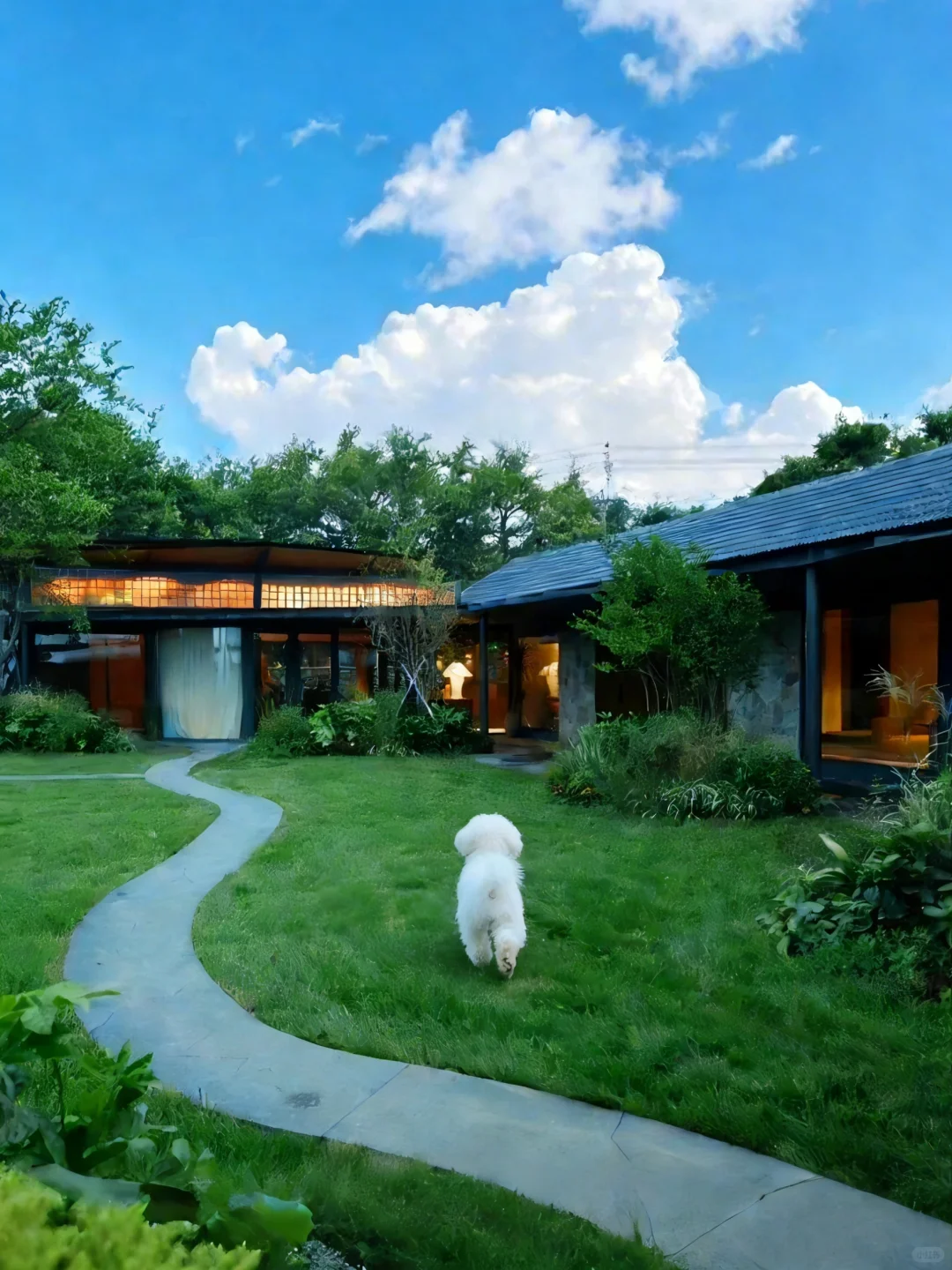 烟台📍养马岛！山野小院已美到next level