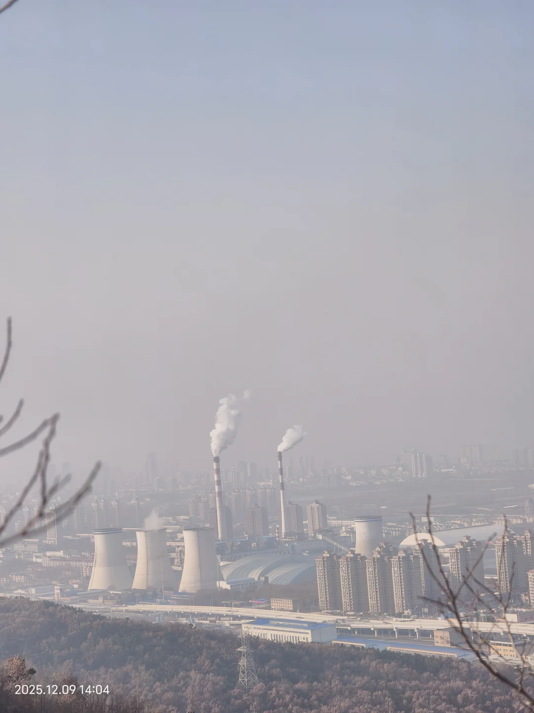烟台蓁山 | 拿下这根木头🪵