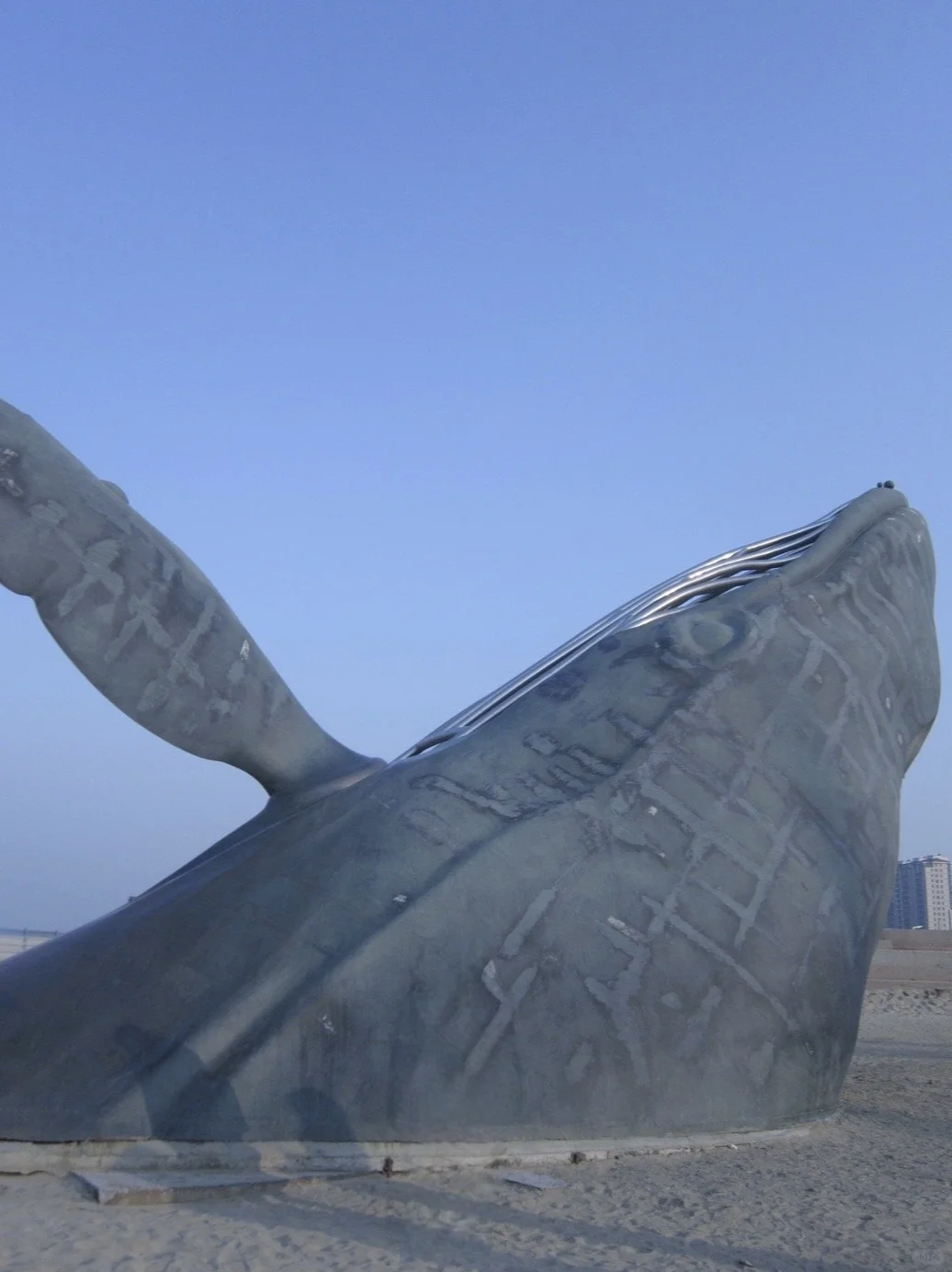 04女大新年旅行第二站📍烟台|路线分享~