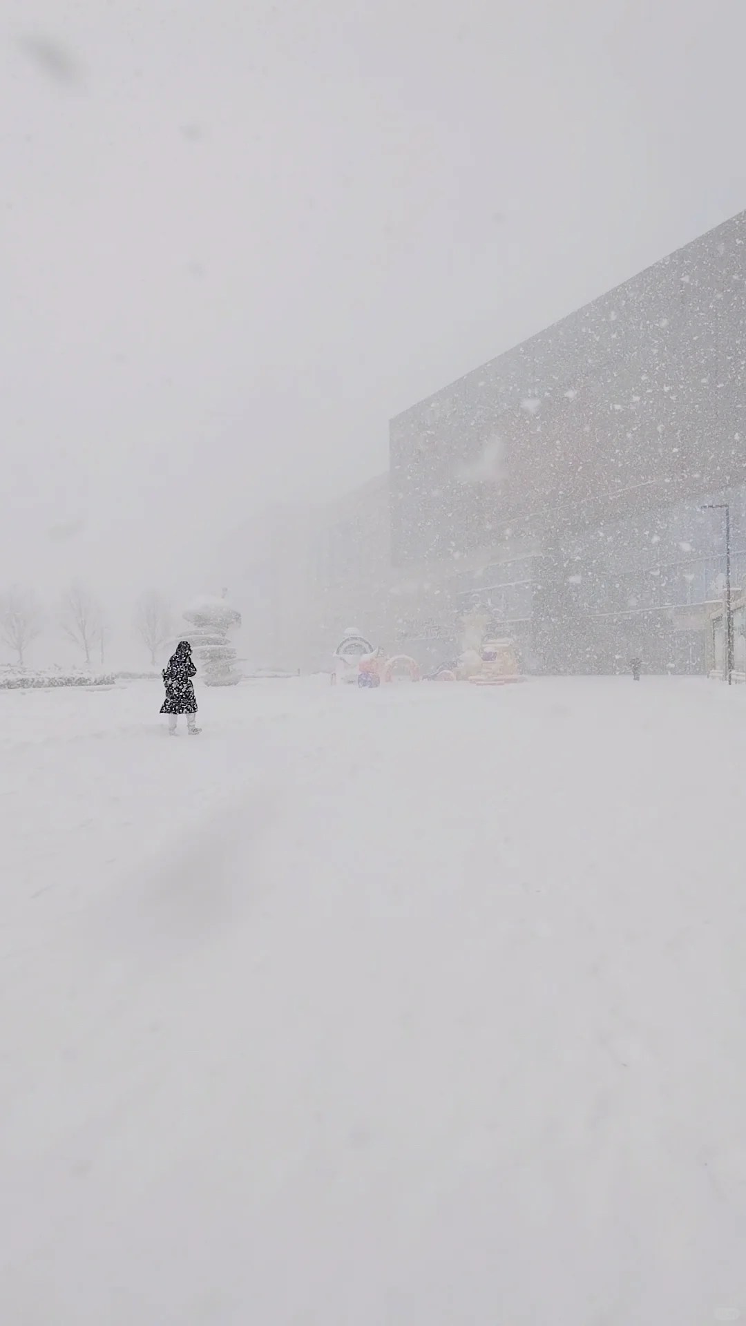 2025年1月9日烟台大雪实景图，坐标莱山