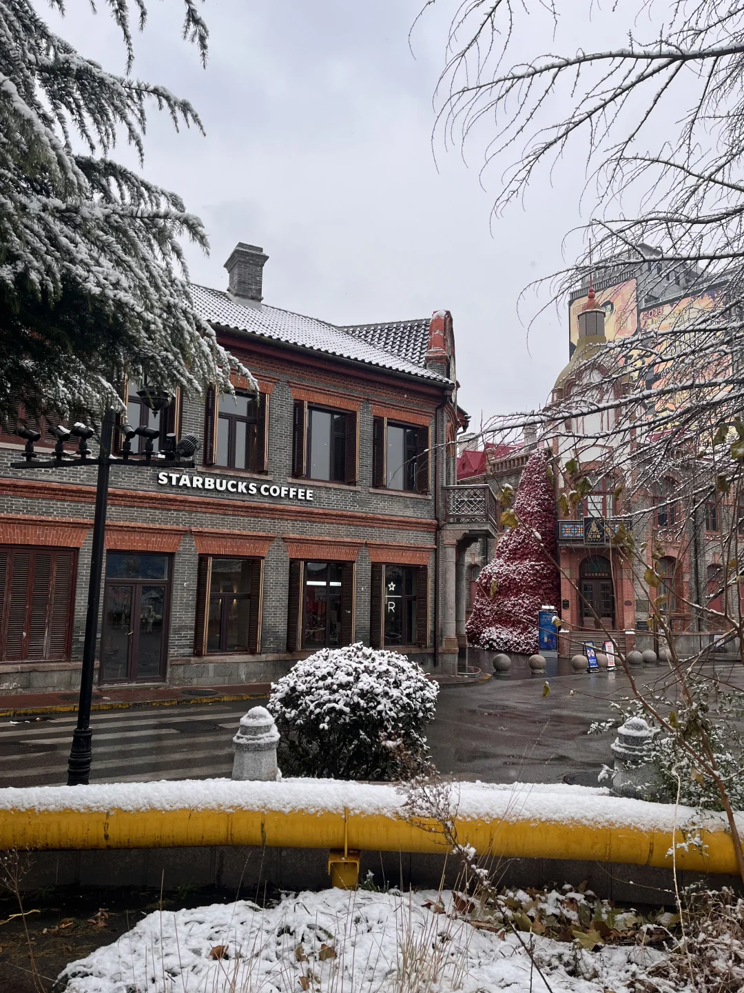 12.13烟台下雪了❄️