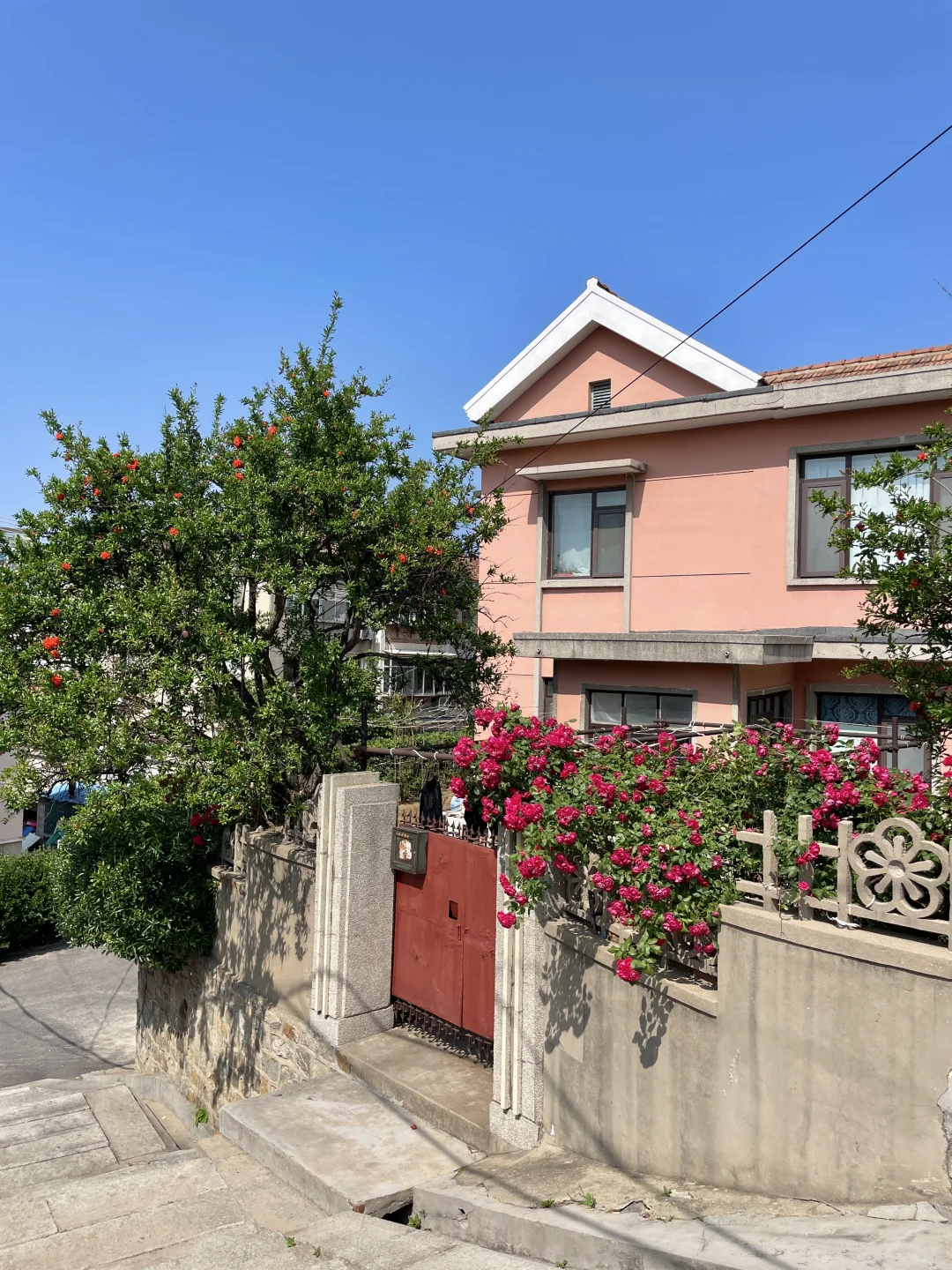 已经开始怀念烟台的夏天了