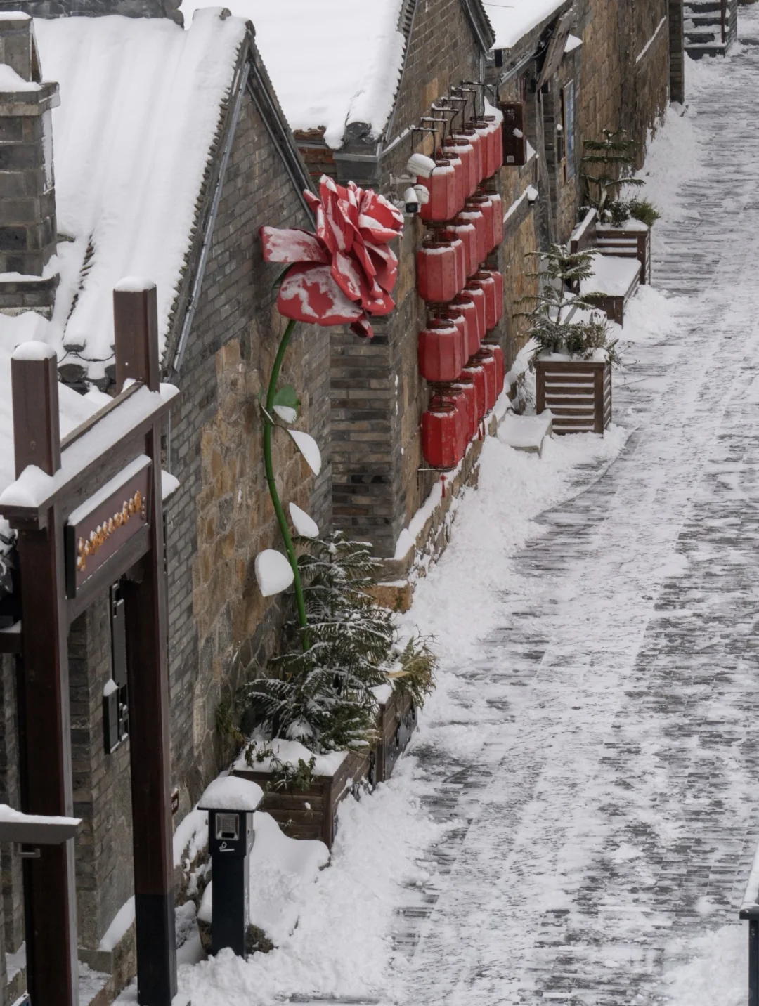 听说你的城市下雪了❄