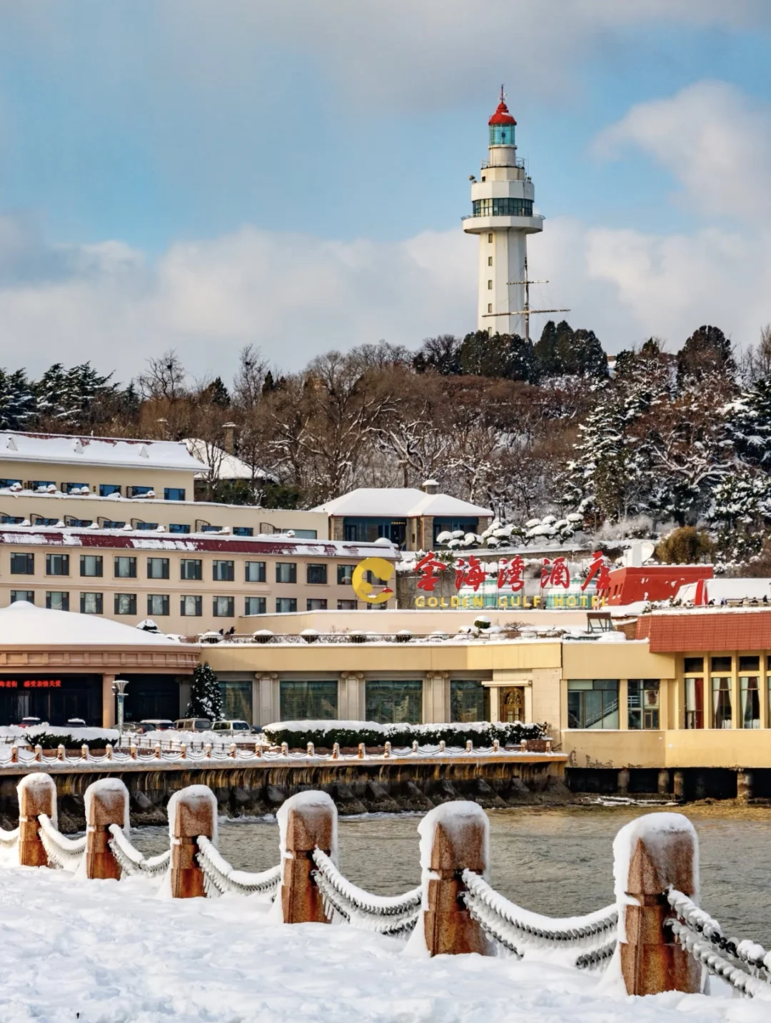 听说你的城市下雪了❄