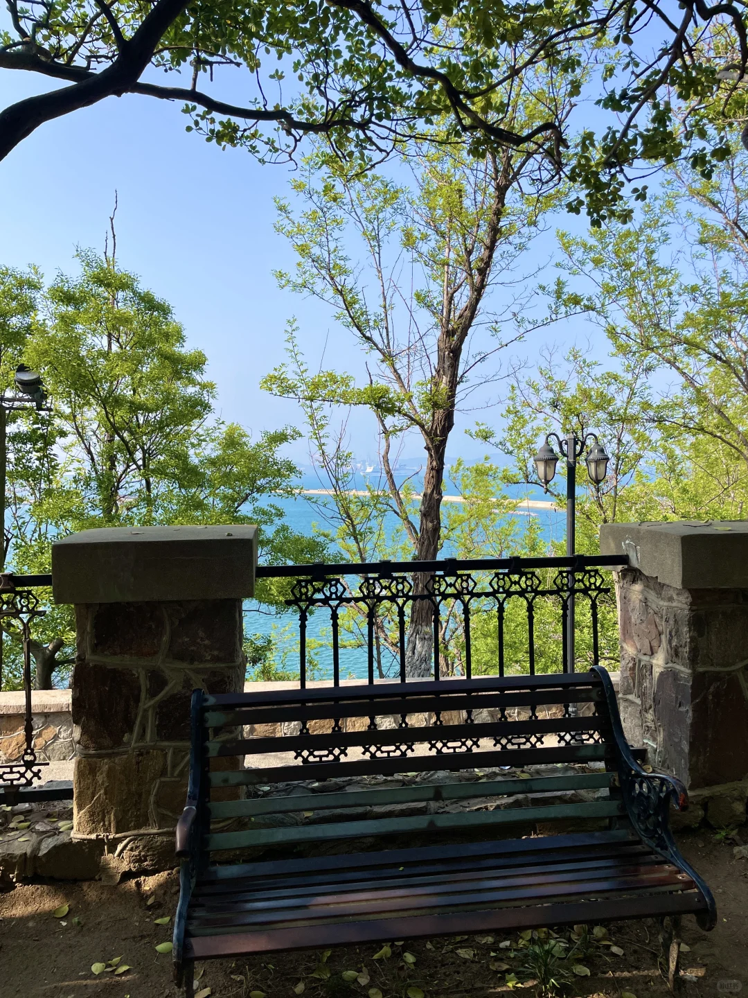 已经开始怀念烟台的夏天了