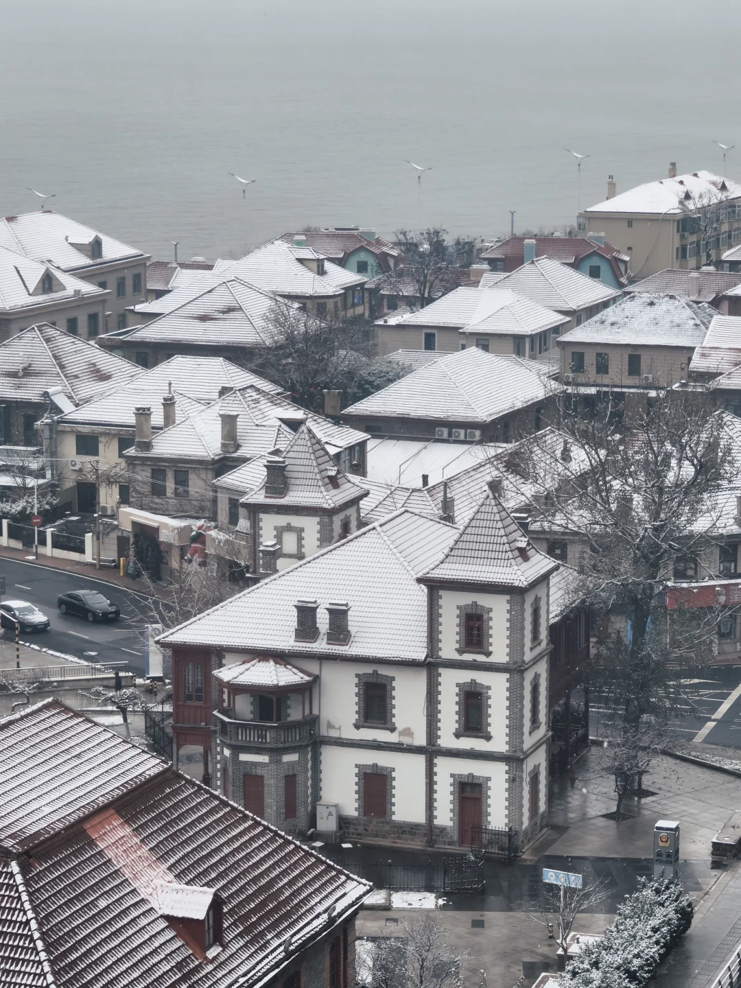 来看，今日烟台雪景实况❄️