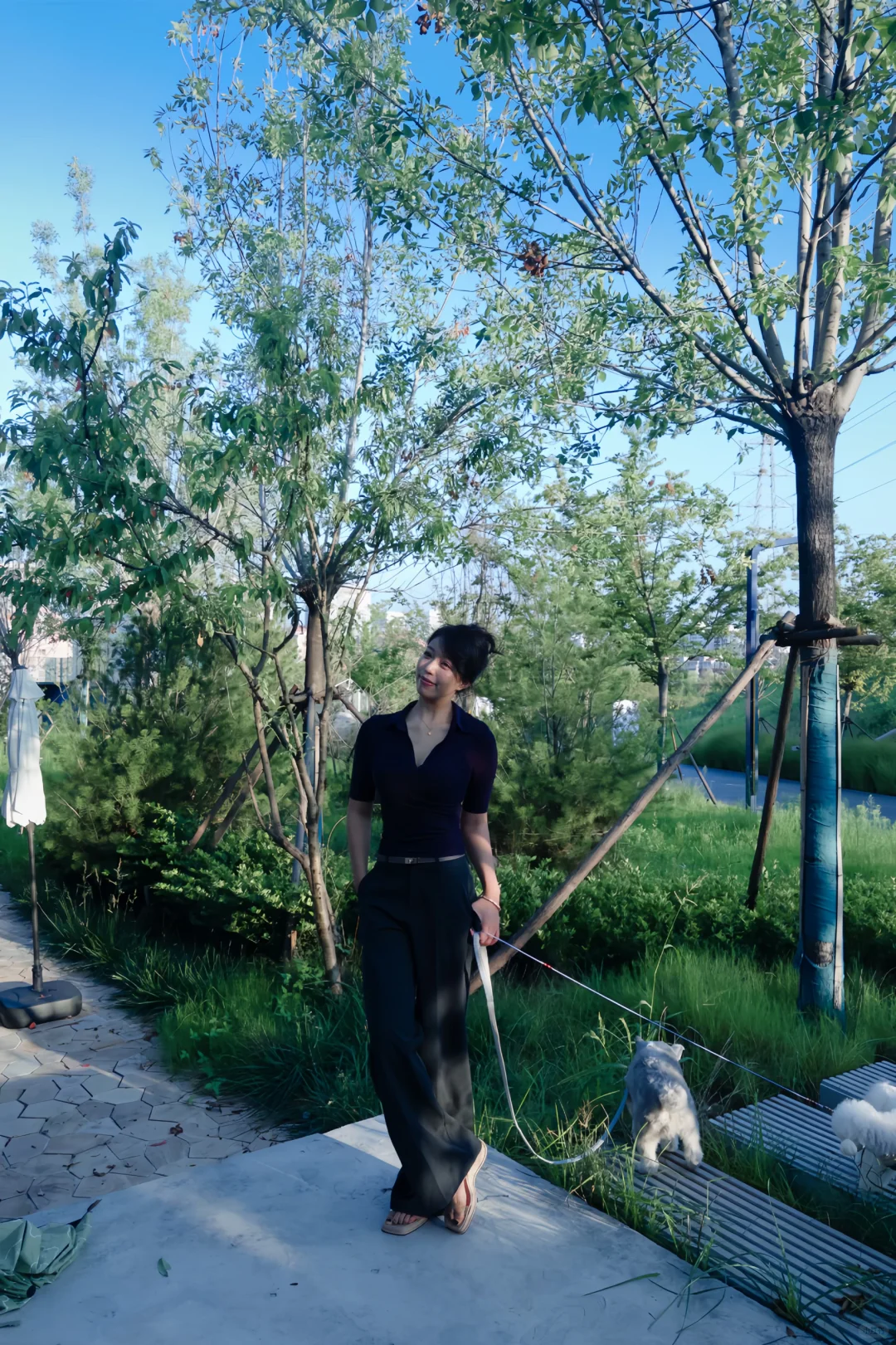 烟台可算天晴了