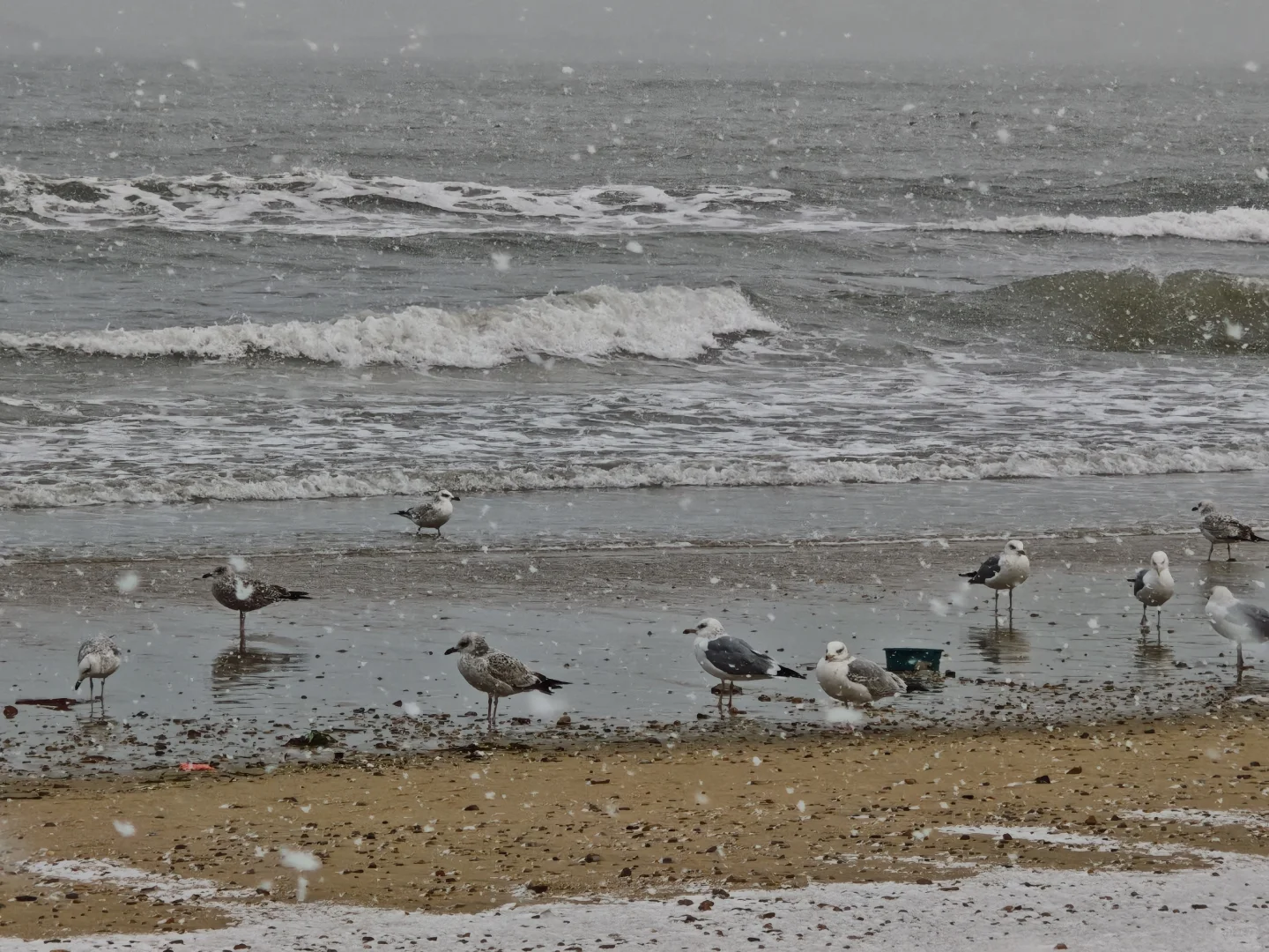 一个人去了冬天的烟台