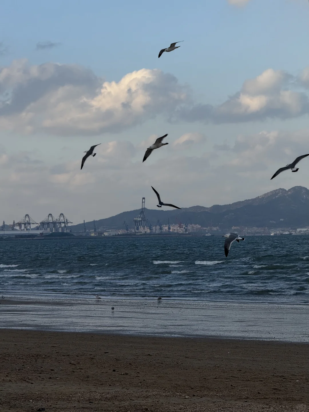 为了这18张照片，特意来了烟台！附攻略版