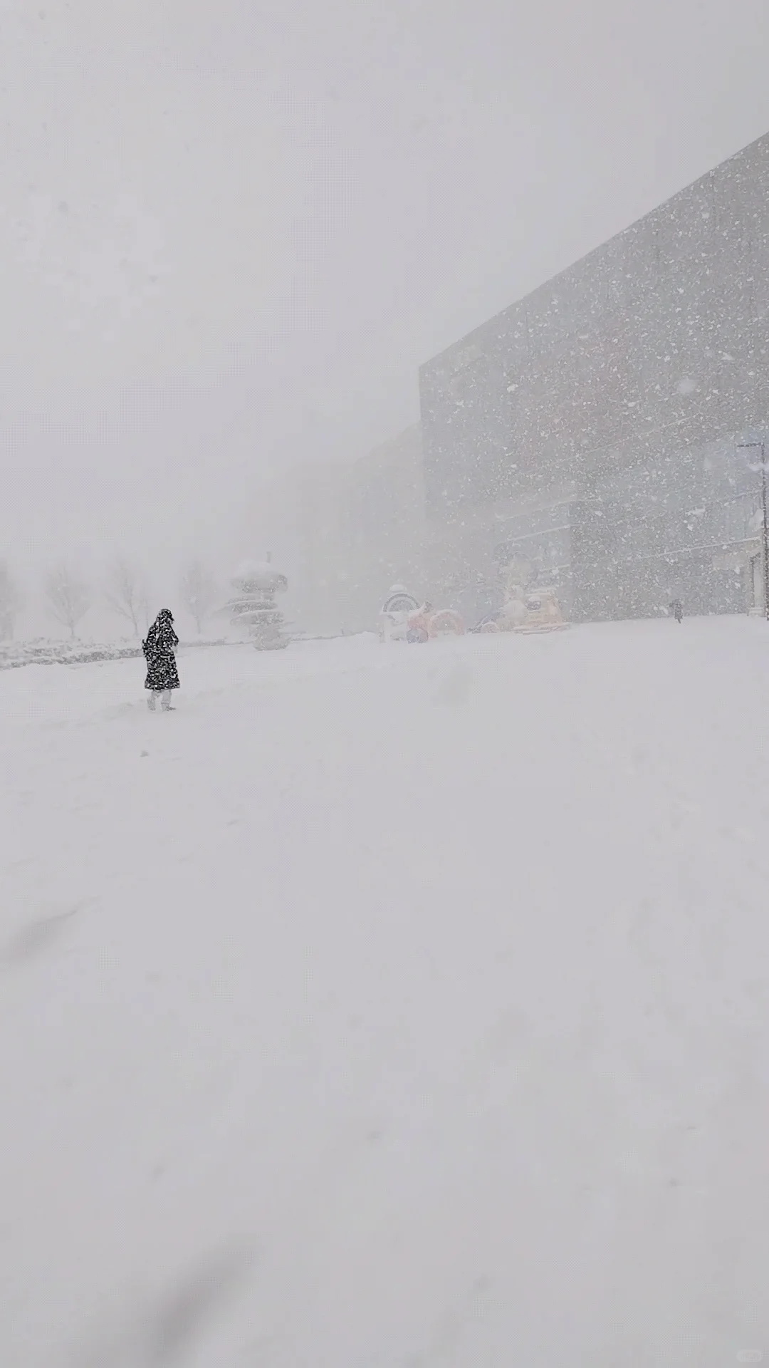2025年1月9日烟台大雪实景图，坐标莱山