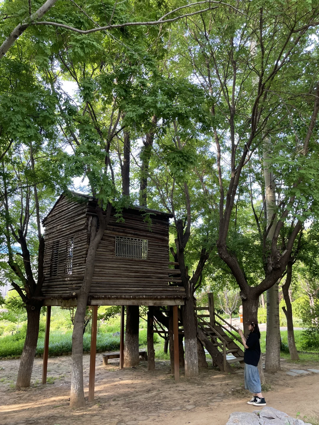 已经开始怀念烟台的夏天了
