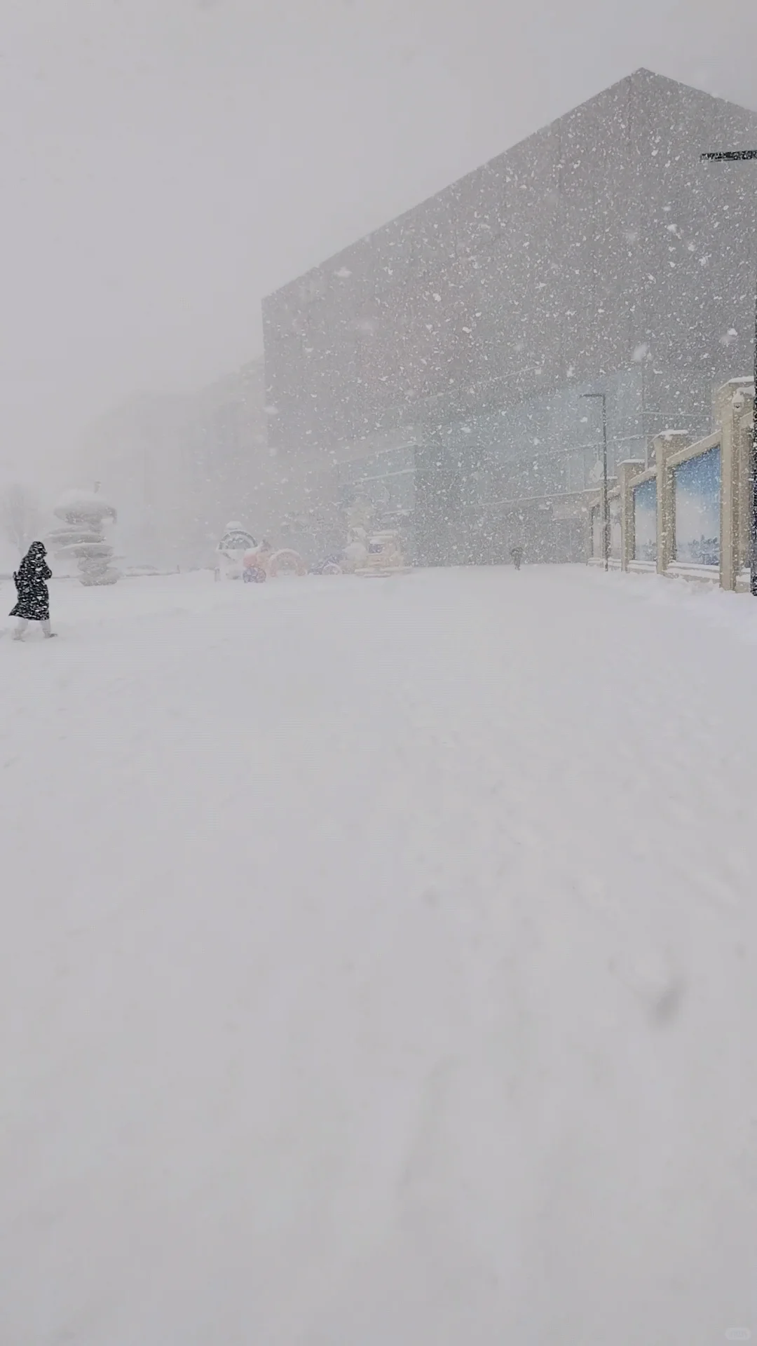 2025年1月9日烟台大雪实景图，坐标莱山