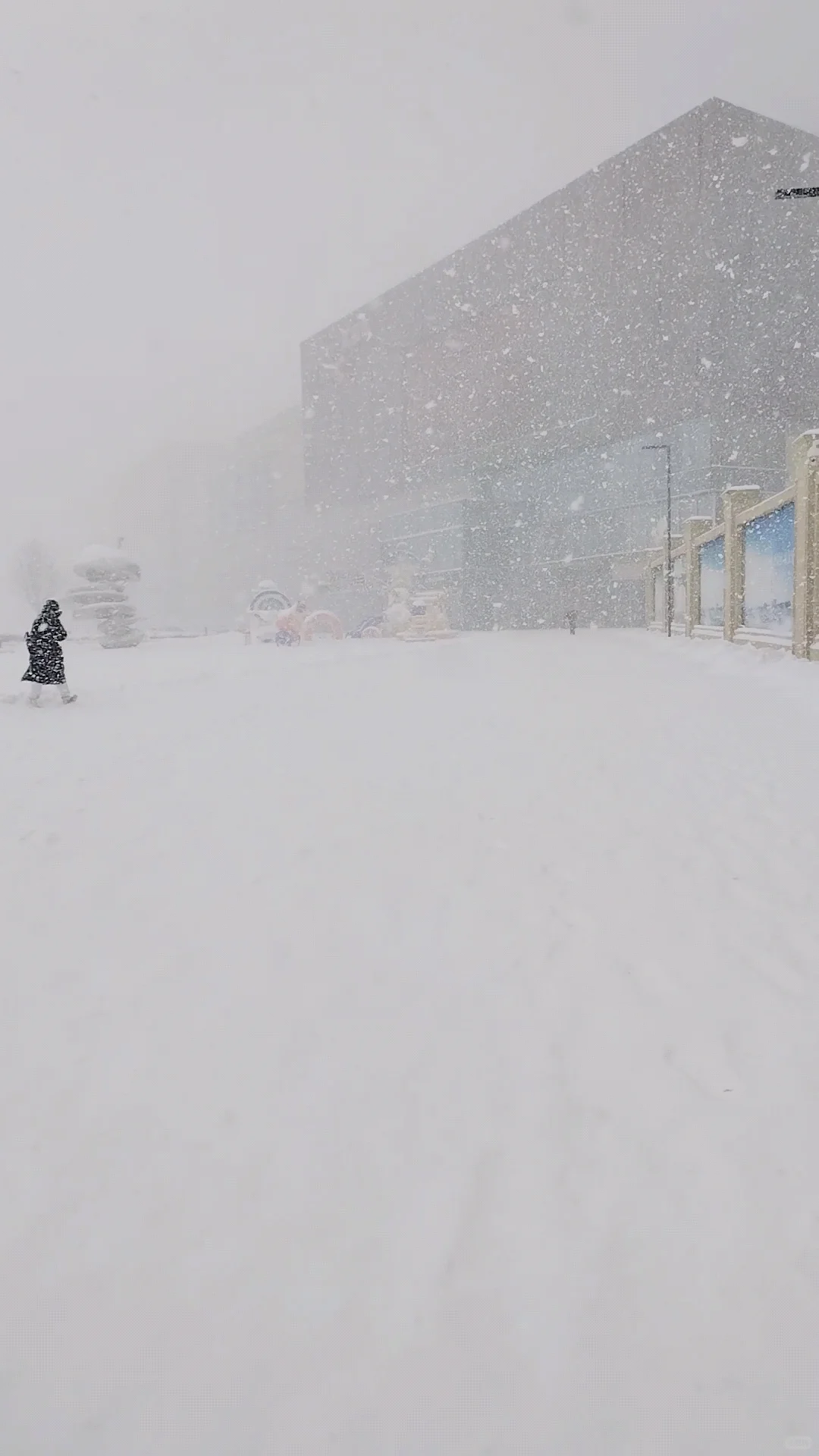 2025年1月9日烟台大雪实景图，坐标莱山