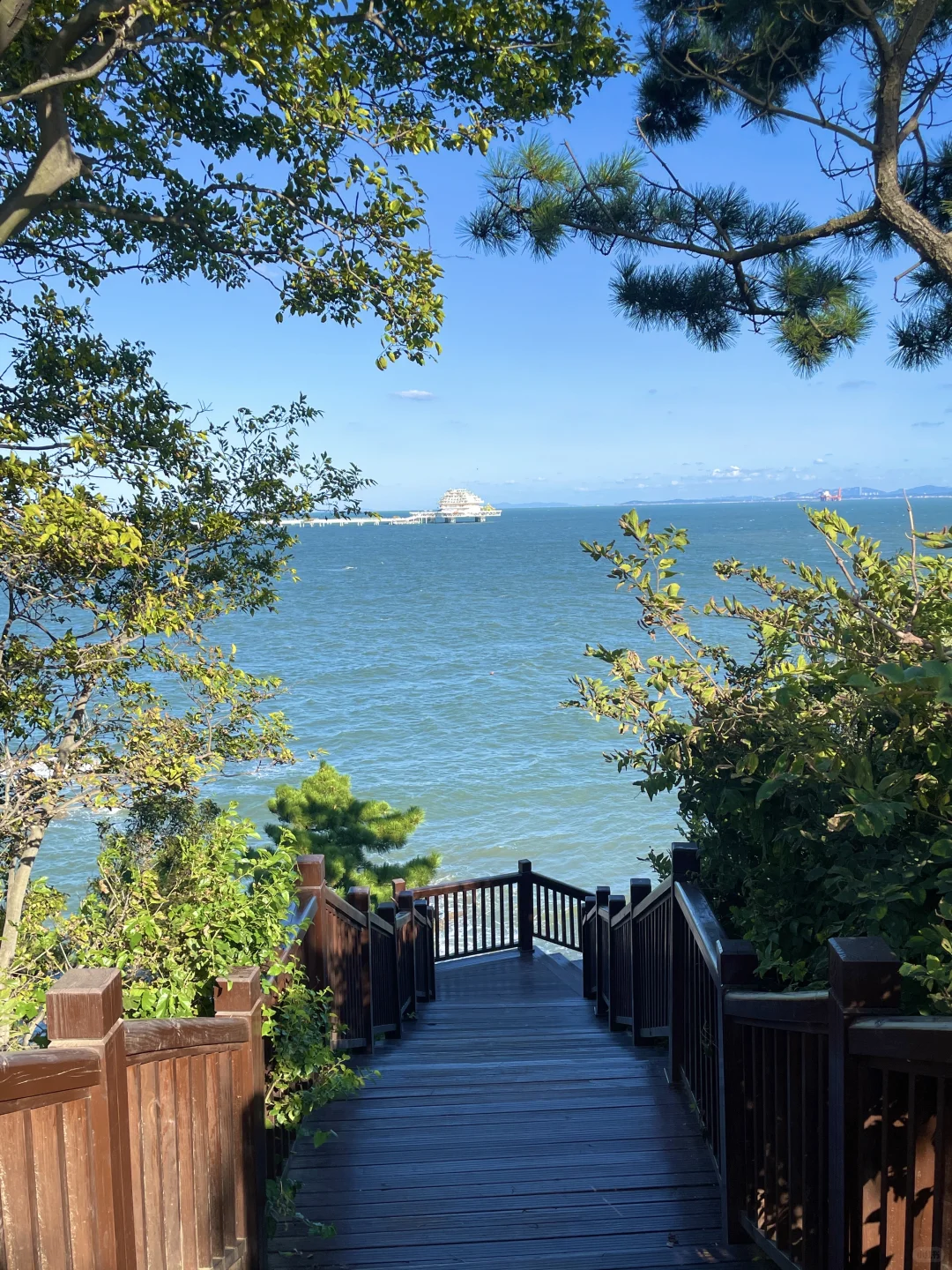 已经开始怀念烟台的夏天了