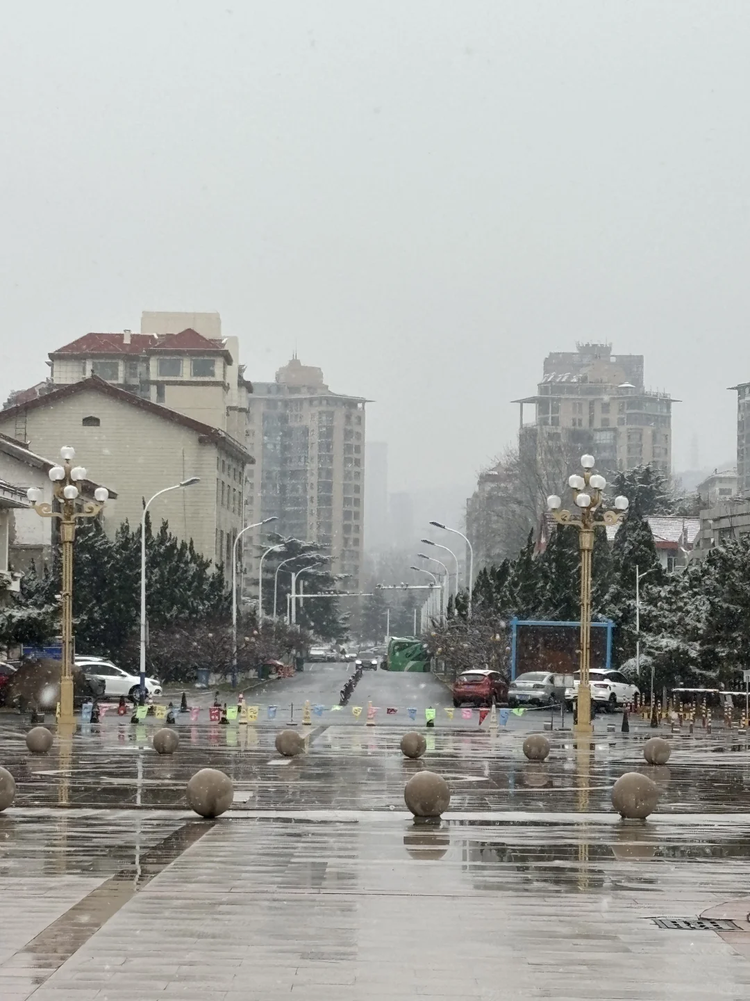 烟台12.20-12.31雪况更新！月底之前无雪！