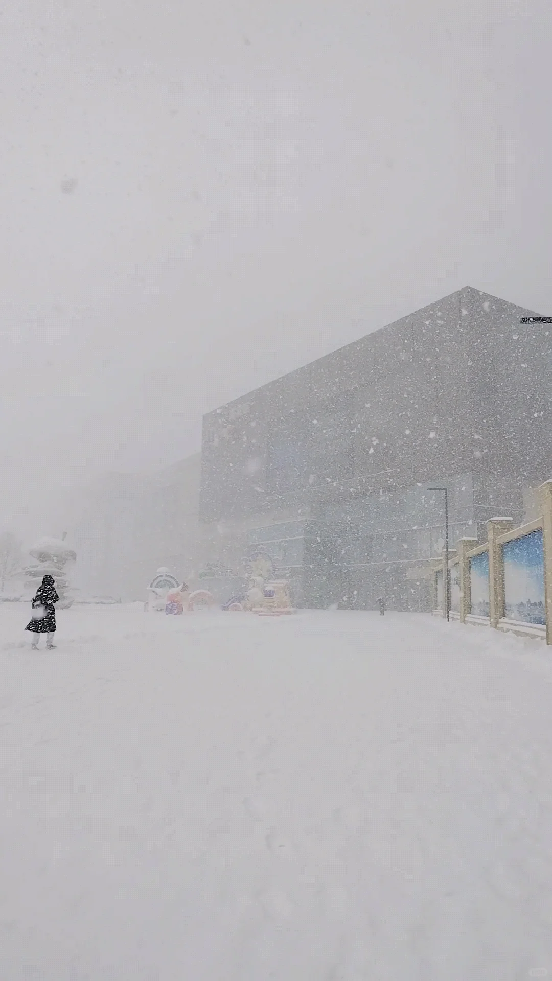 2025年1月9日烟台大雪实景图，坐标莱山