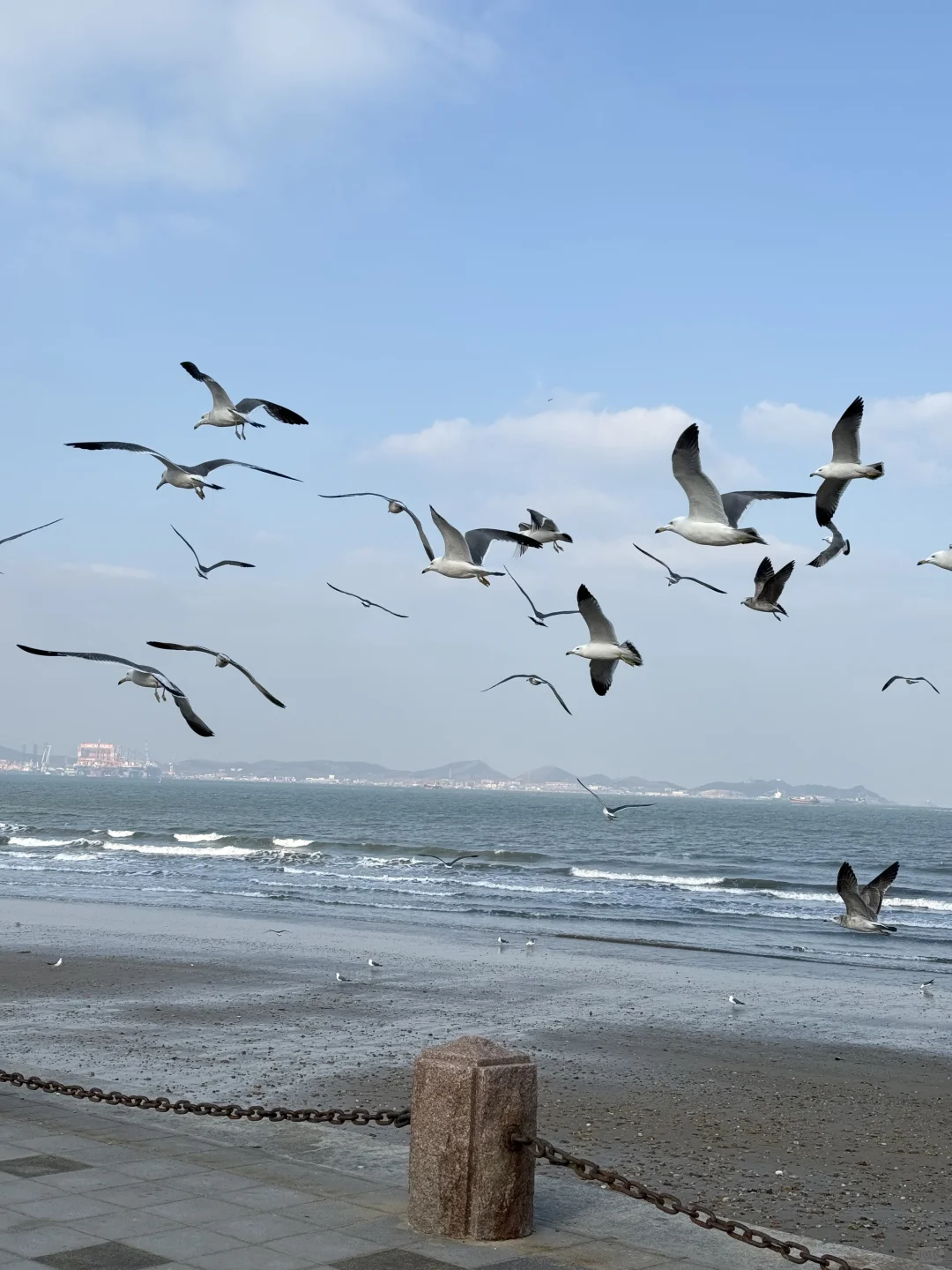 烟台！完全是一个圣诞痛城来的🧐