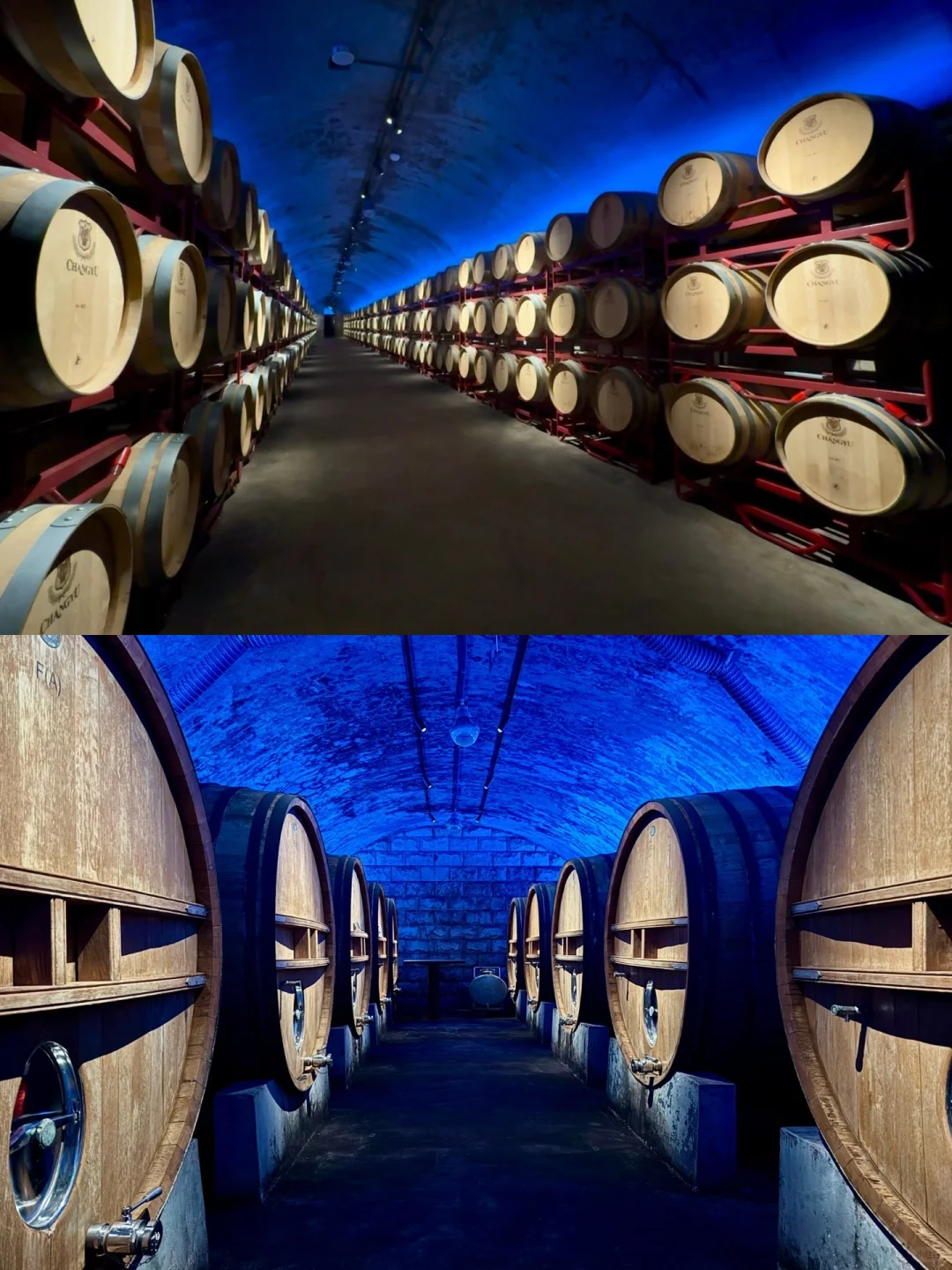 爱在烟台，难以离开🍎两日游全攻略（附美食）