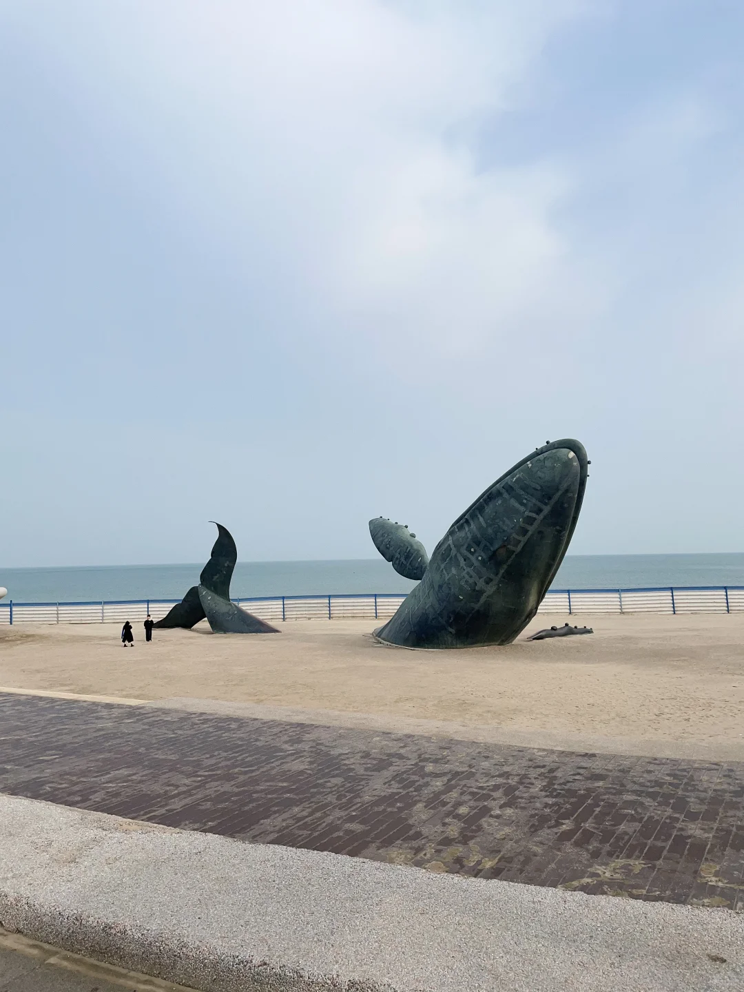 🌅当52赫兹的鲸遇见烟台的晨曦