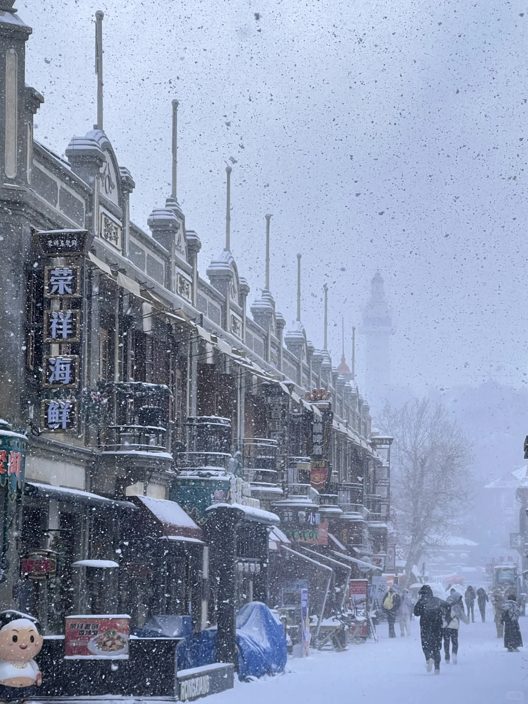 蹲下12月16-27号烟台天气及降雪❄️通知📢