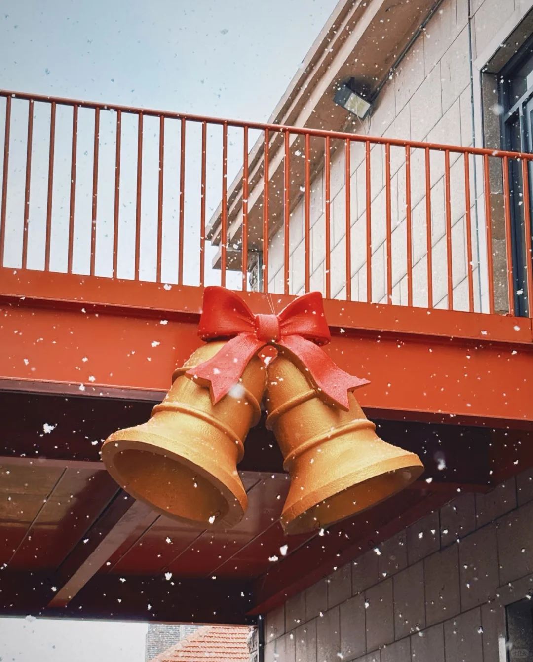 听说你的城市下雪了❄