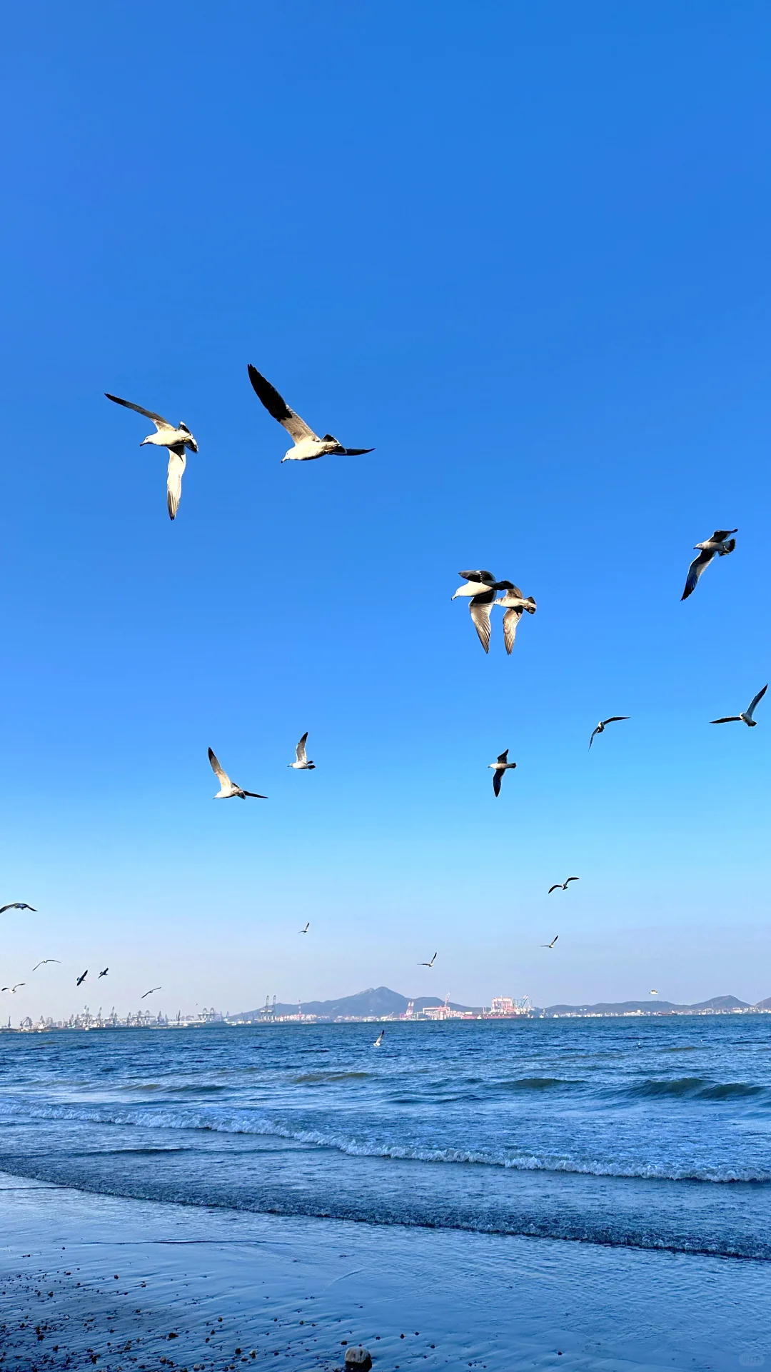 烟台你太美了！冬天的海边🥳