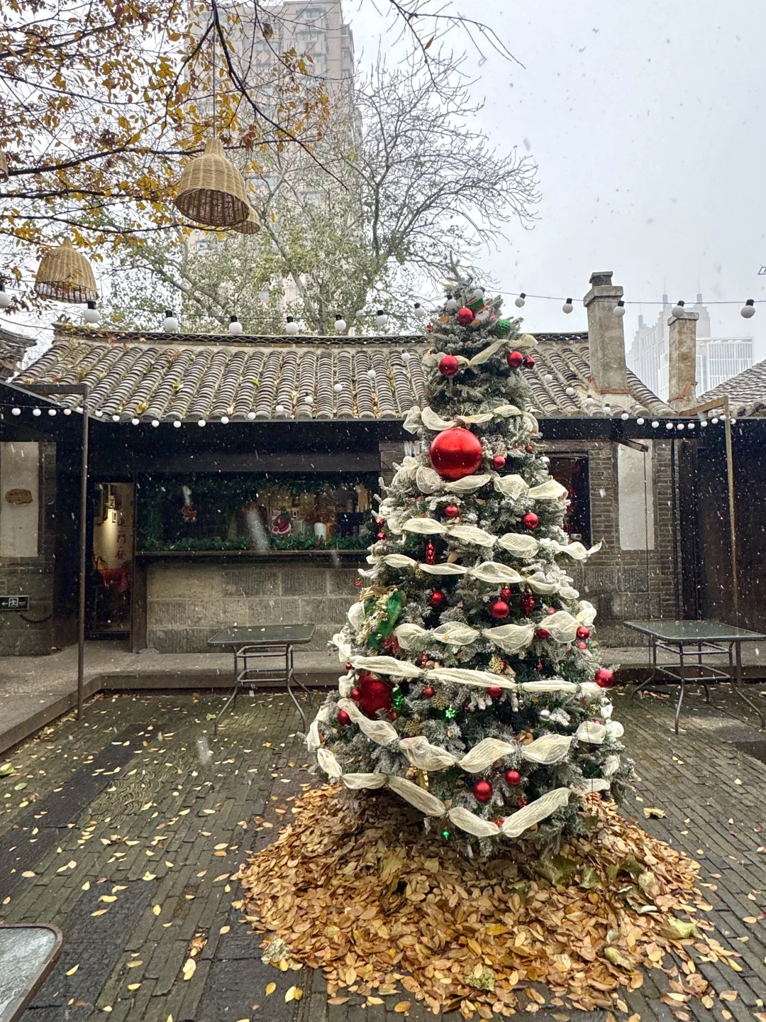 烟台12.13实况！暴雪中的烟台已经美疯了🎄…