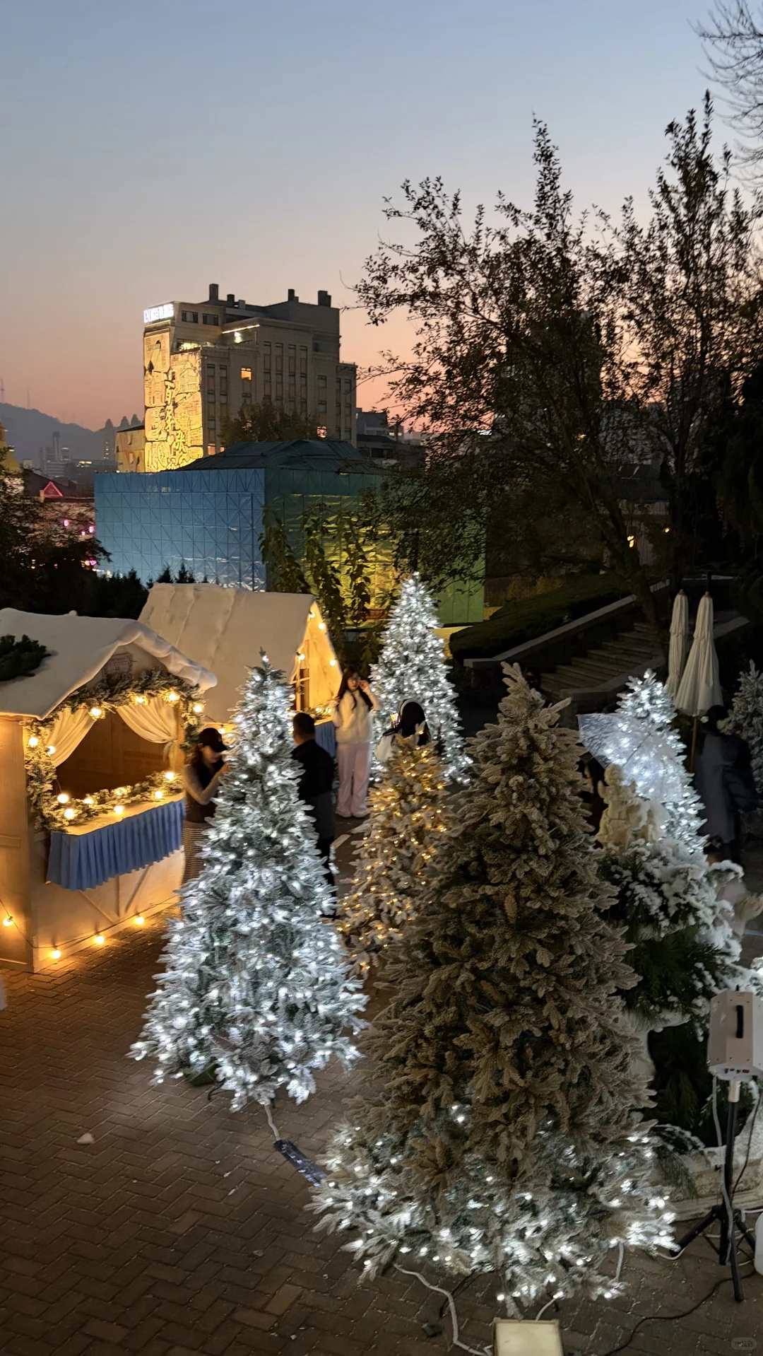 🎄烟台已经开始过圣诞了