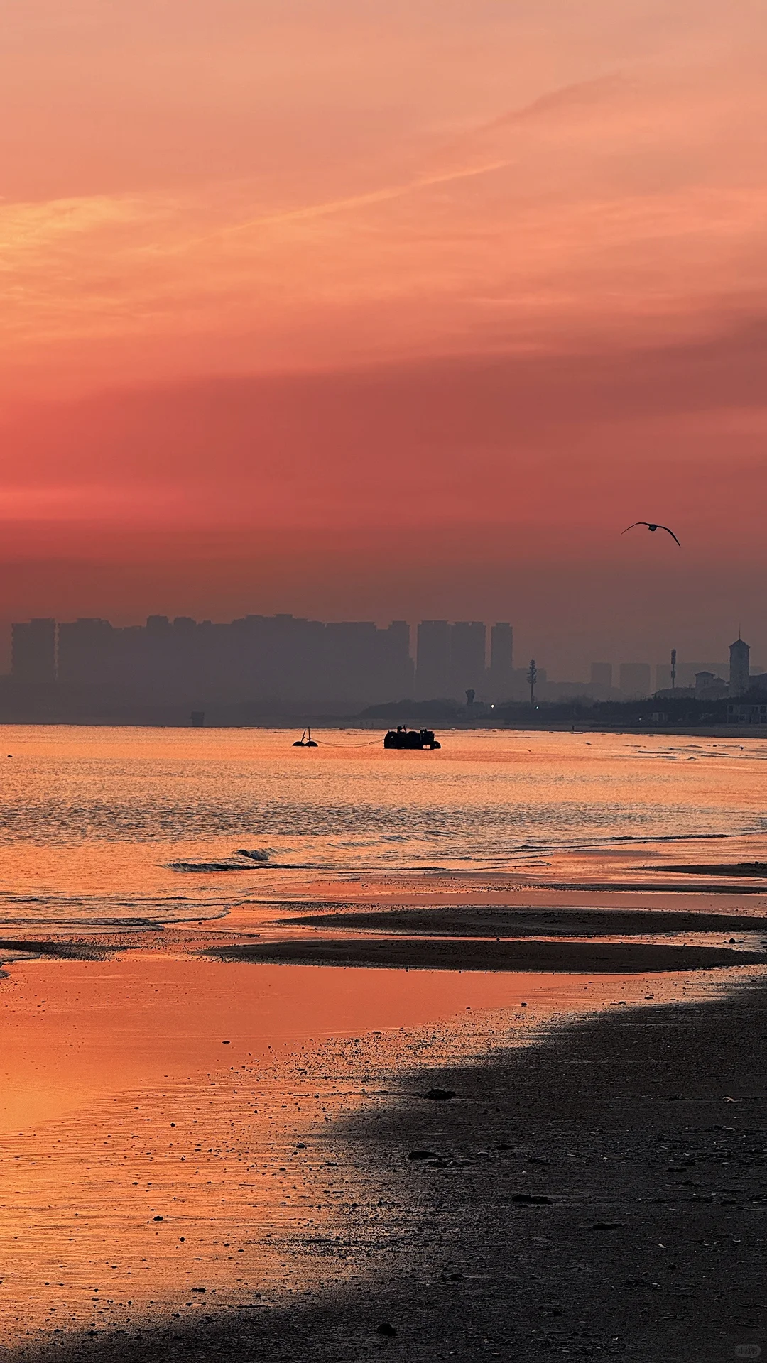 来烟台赴一场追光的浪漫
