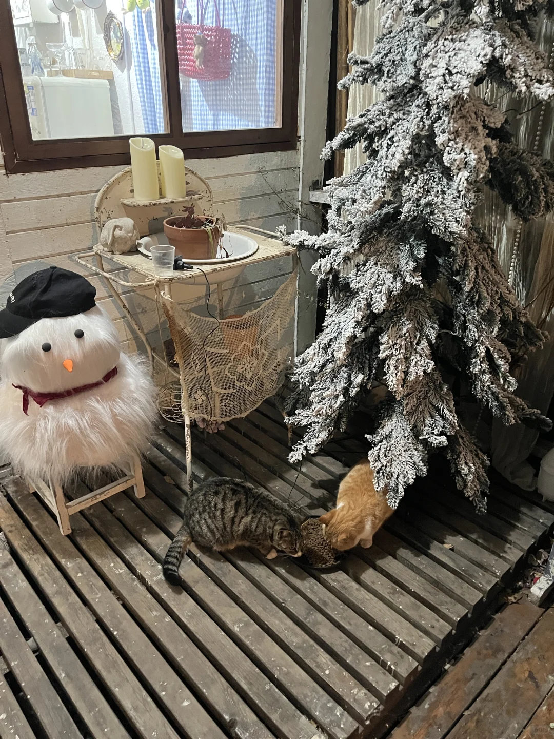 烟台圣诞氛围up🎄🌟