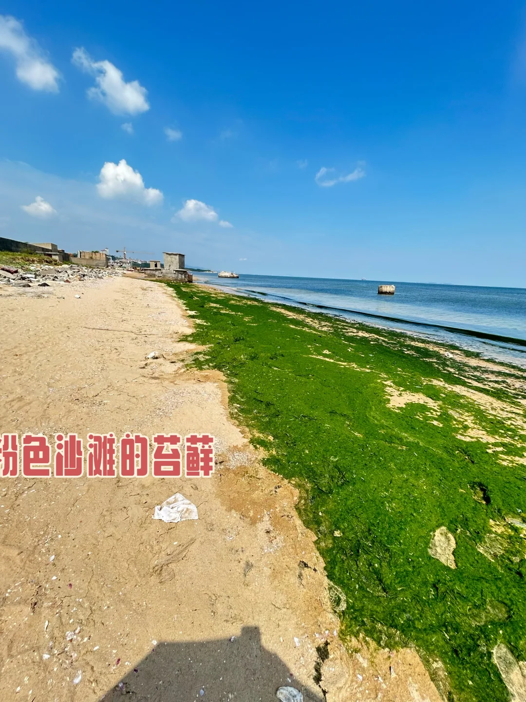 8.25烟台已回 攻略自取，不喜勿喷