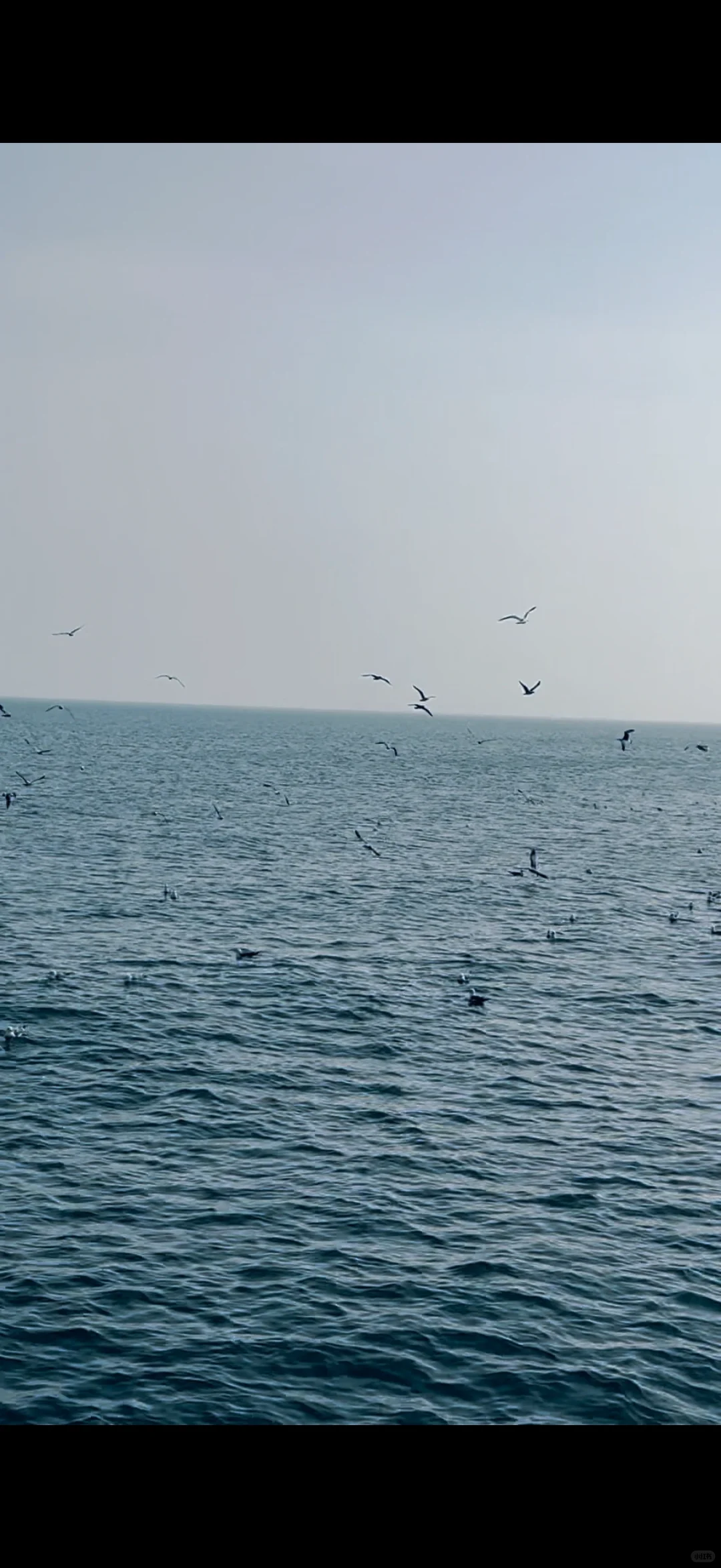 烟台30岁已婚独居女生的无聊一天～