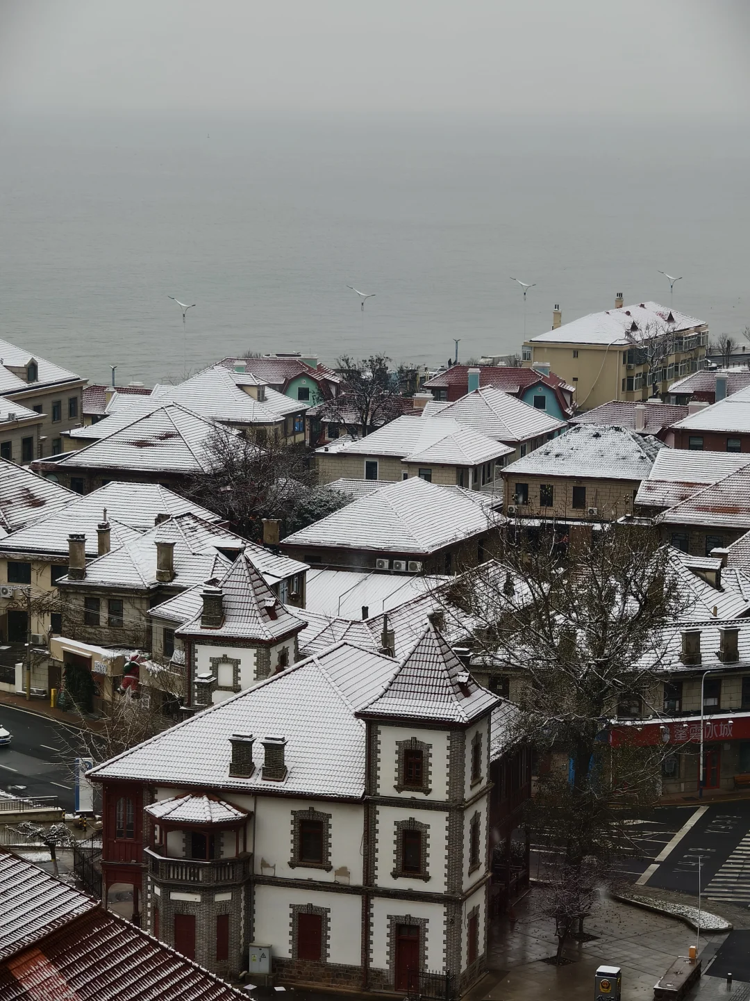 来看，今日烟台雪景实况❄️