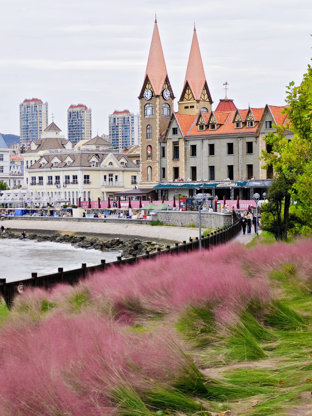 烟台粉黛子好美！