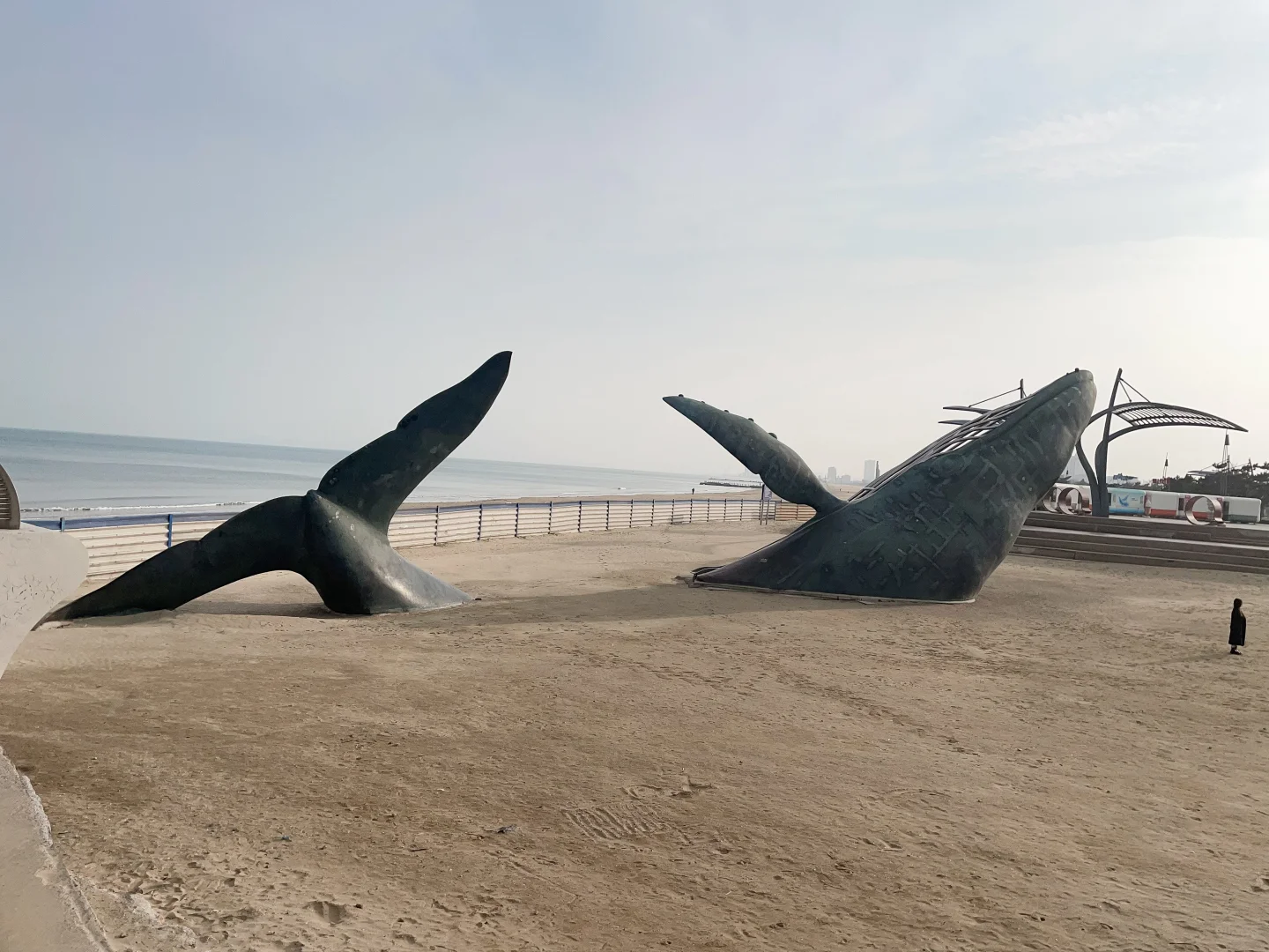 🌅当52赫兹的鲸遇见烟台的晨曦