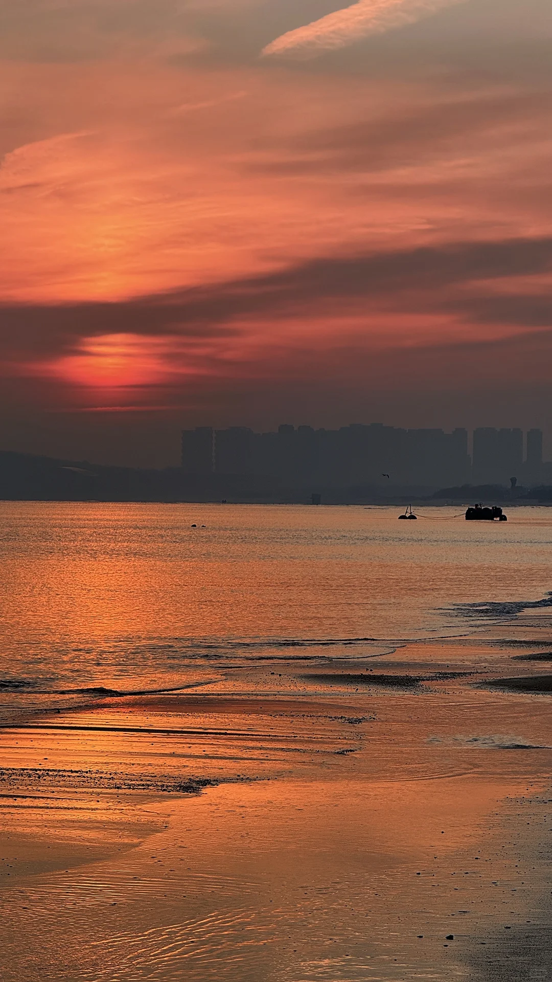 来烟台赴一场追光的浪漫