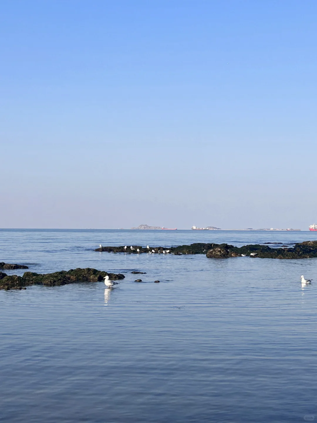 04女大新年旅行第二站📍烟台|路线分享~