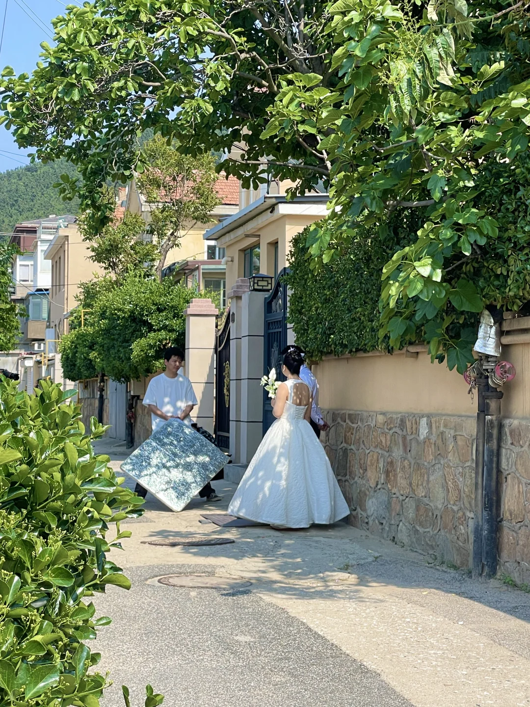 已经开始怀念烟台的夏天了