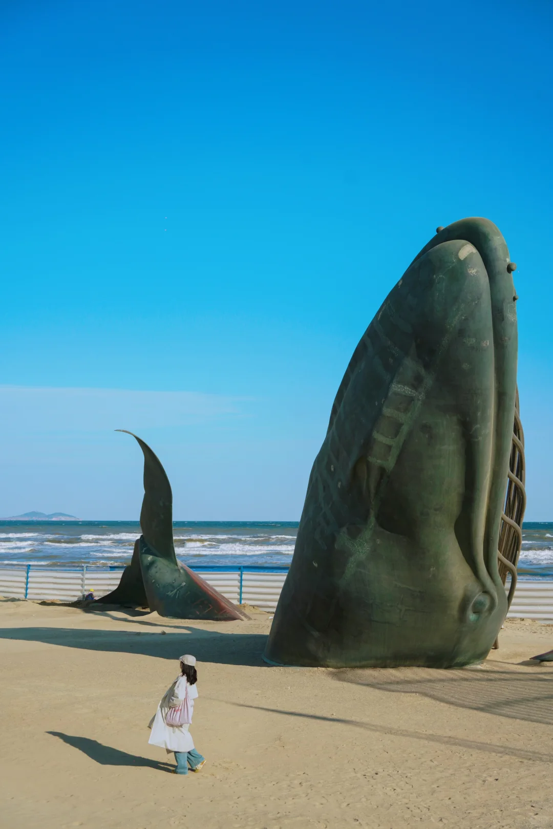 为了这18张照片特意飞了一趟烟台！！附机位！