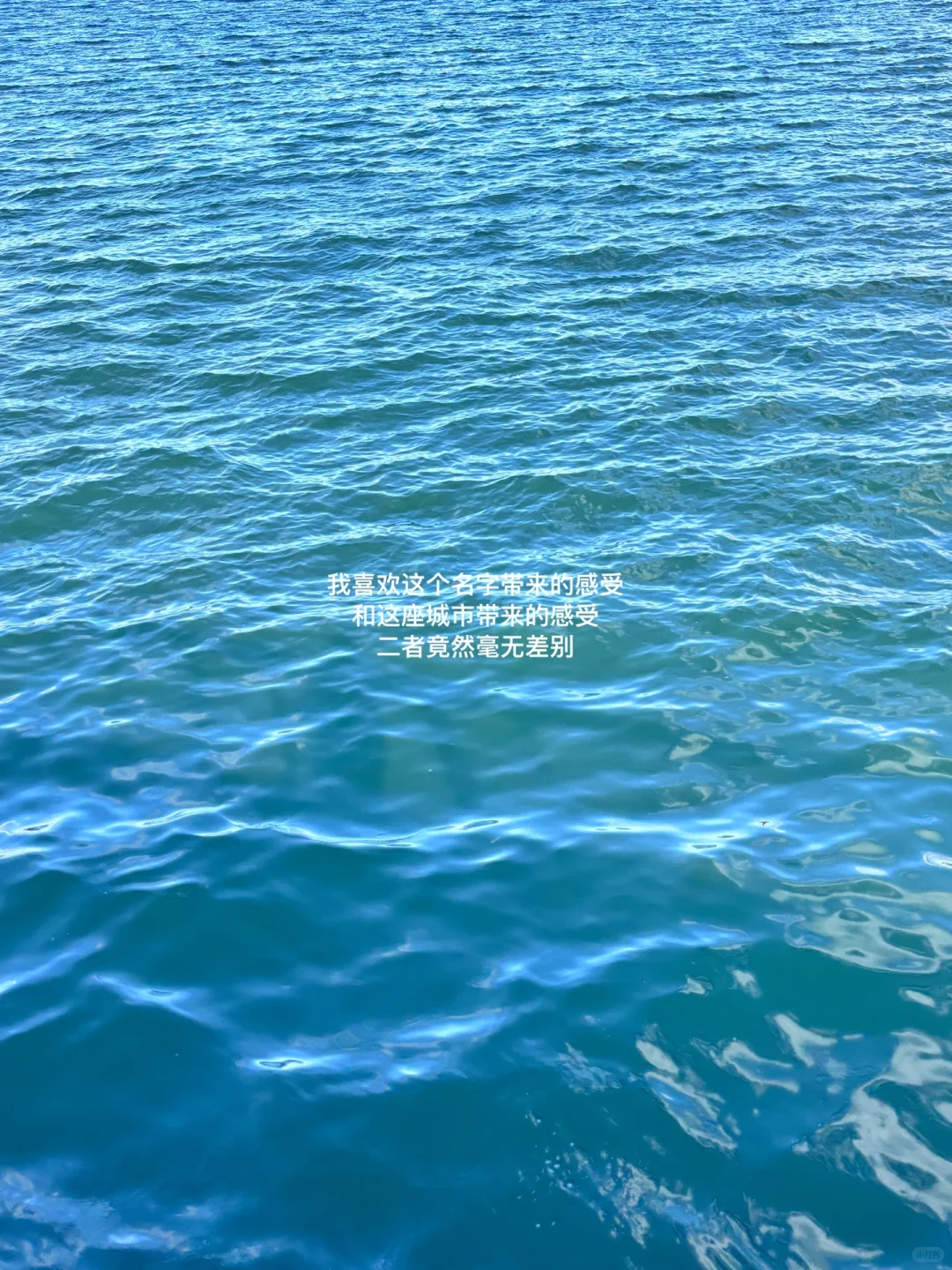 下午四点半，我抵达烟台的海边