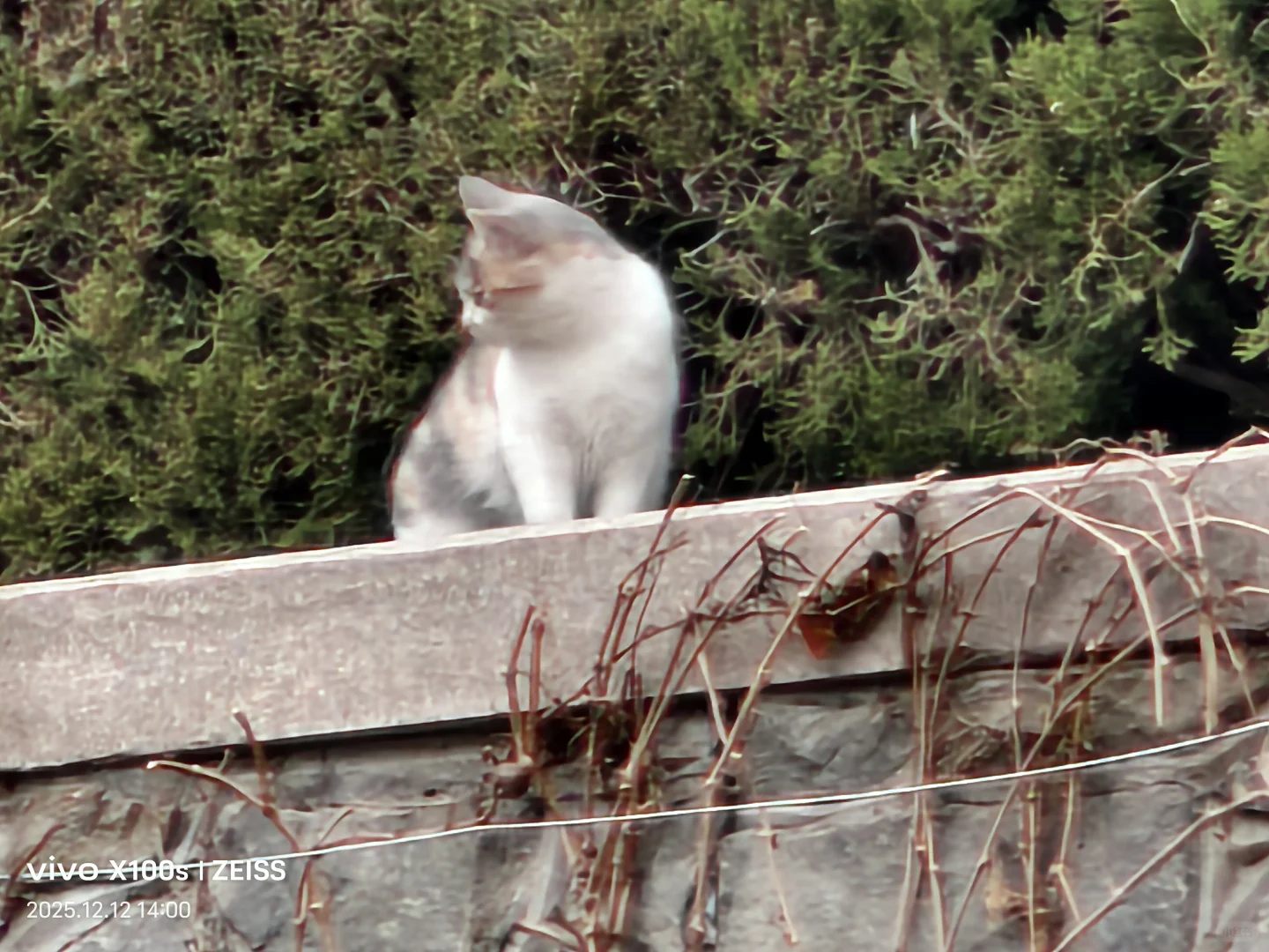 烟台好冷，也好冷清