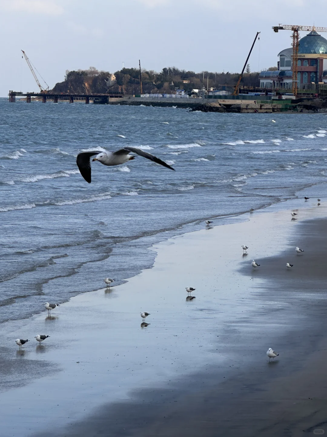 为了这18张照片，特意来了烟台！附攻略版
