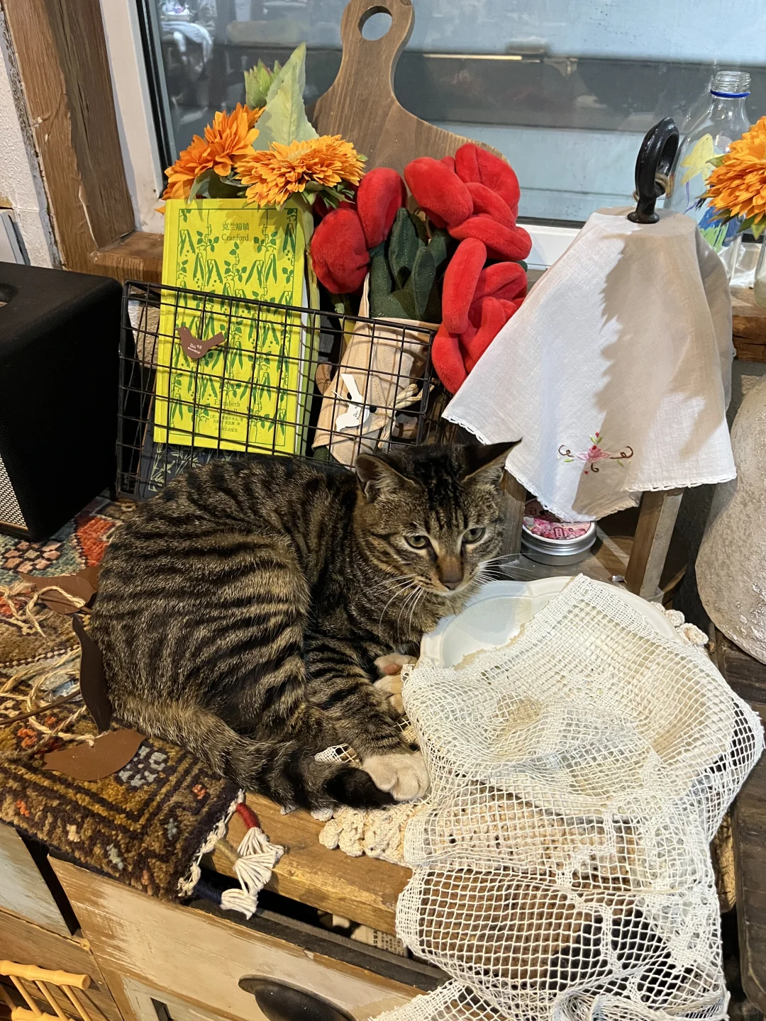 烟台圣诞氛围up🎄🌟