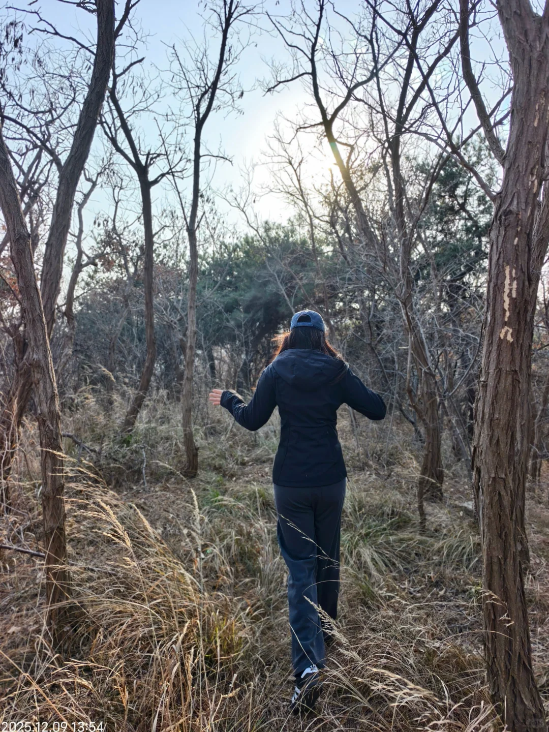 烟台蓁山 | 拿下这根木头🪵