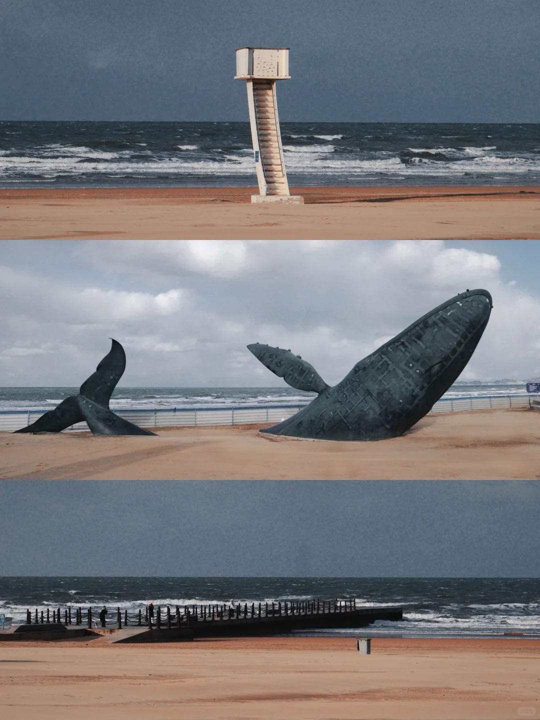 爱在烟台，难以离开🍎两日游全攻略（附美食）