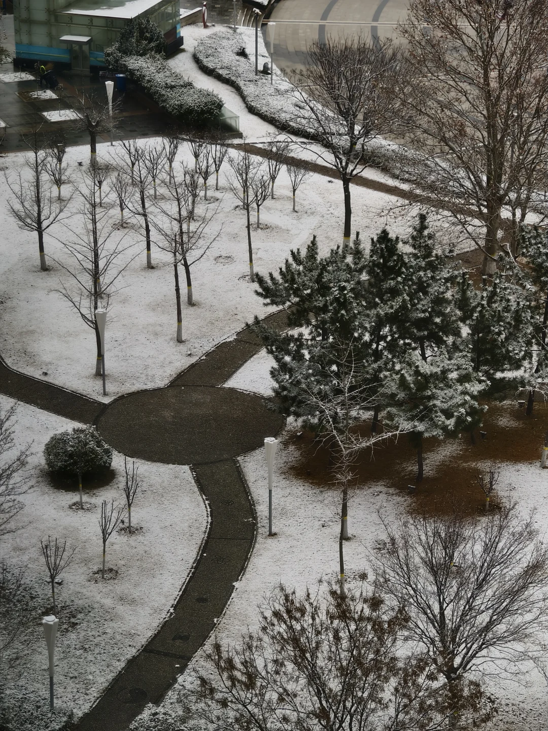 来看，今日烟台雪景实况❄️