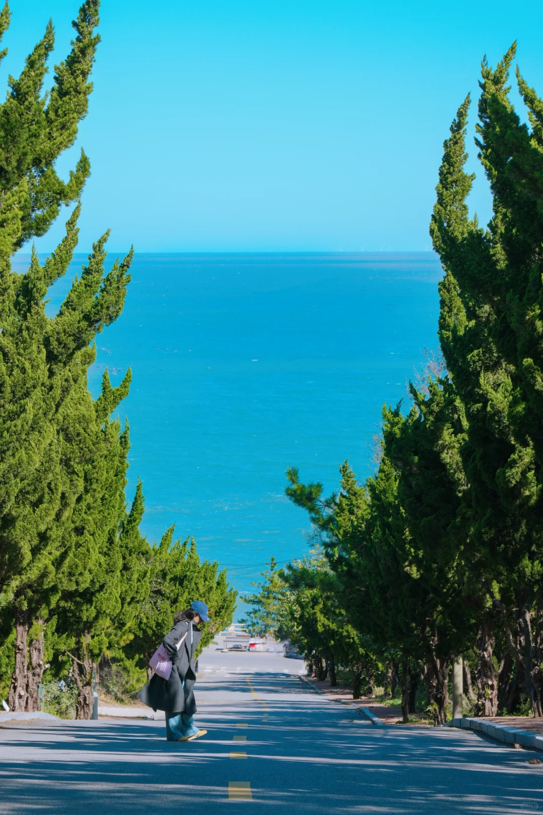 为了这18张照片特意飞了一趟烟台！！附机位！