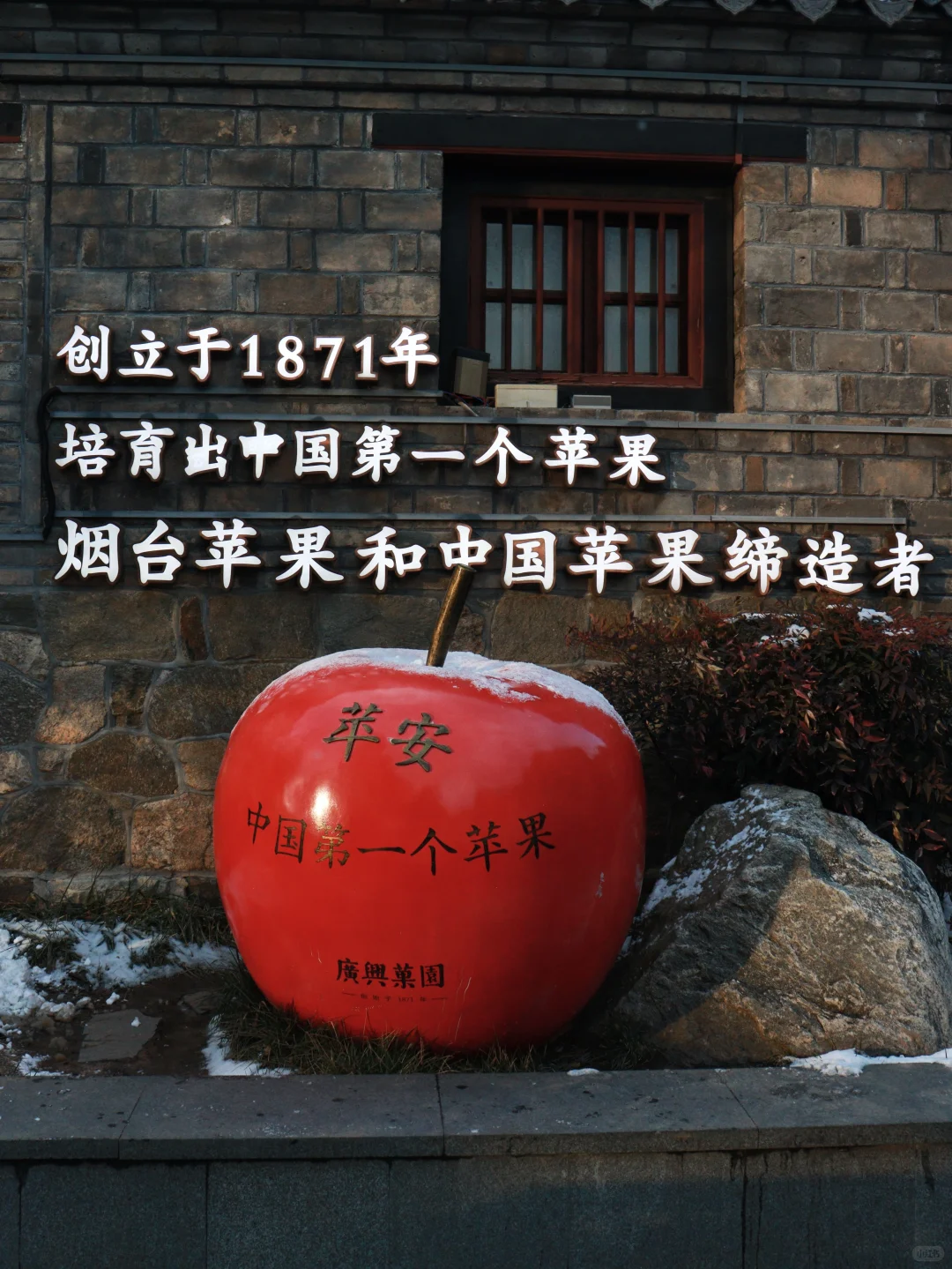 爱在烟台，难以离开🍎两日游全攻略（附美食）